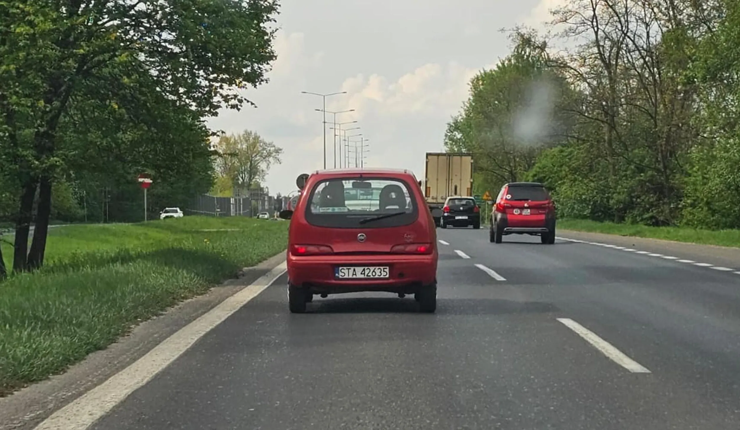 król lewego pasa w seicento