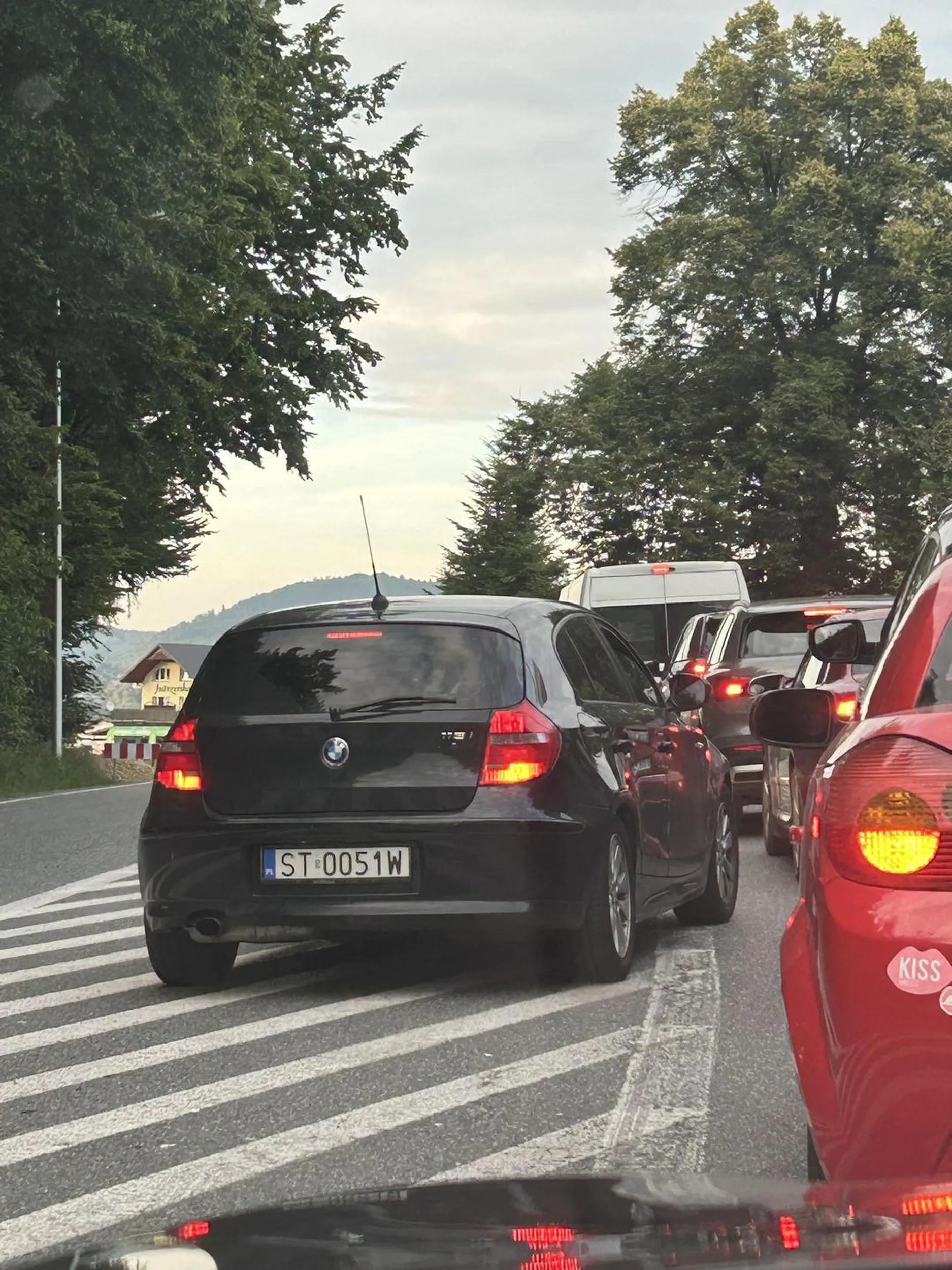 Noi co trąbisz bucu