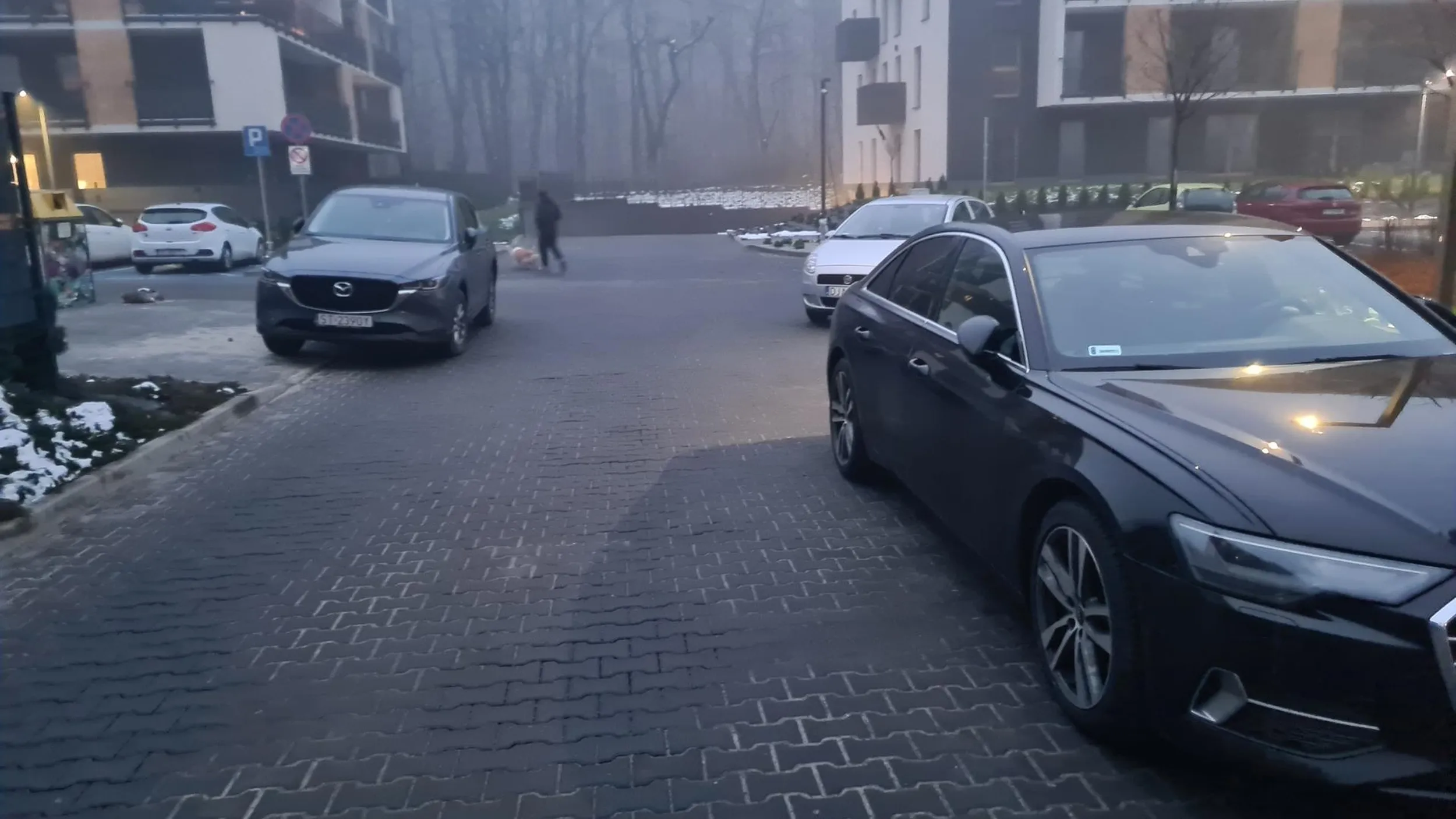 Zastawianie przejazdu oraz drogi pożarowej.  Pozdrawiam i nie polecam