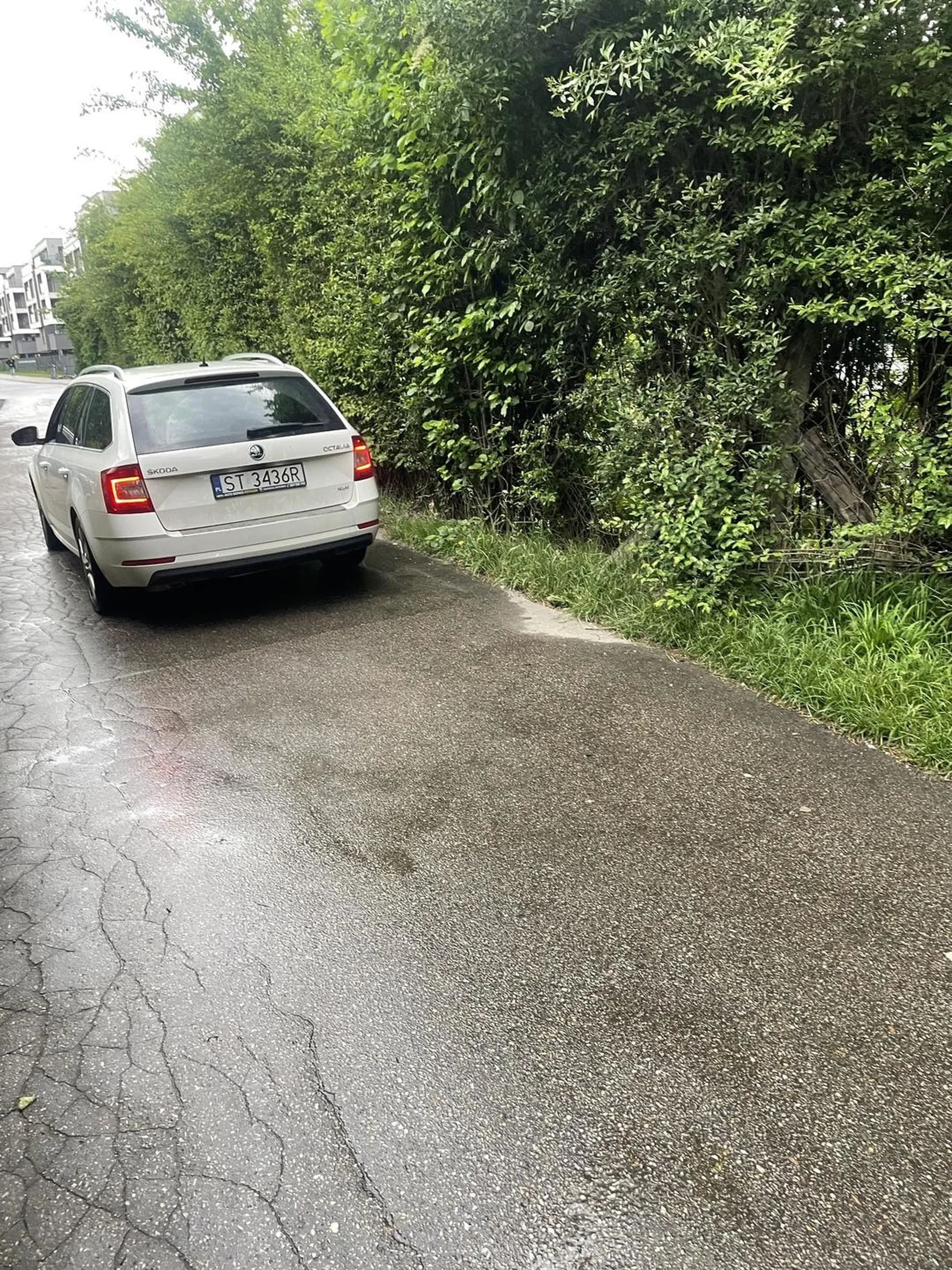 Potwierdzam, kłamca i bydło.  Wjeżdża na zakazie, grozi przechodniom. Zachowuje się jakby brał jakieś narkotyki.