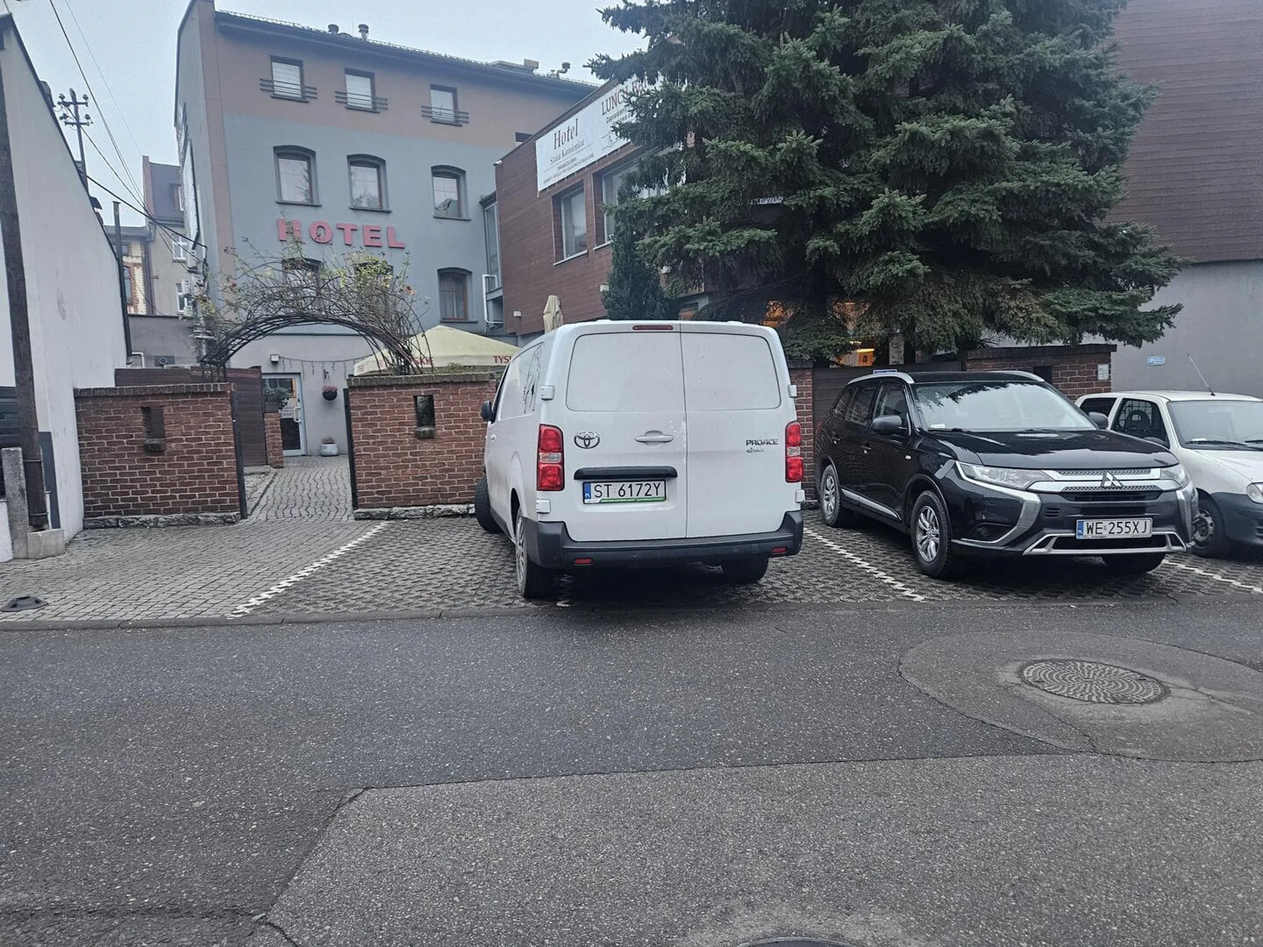 Zajmuje 2 miejsca jak święta krowa