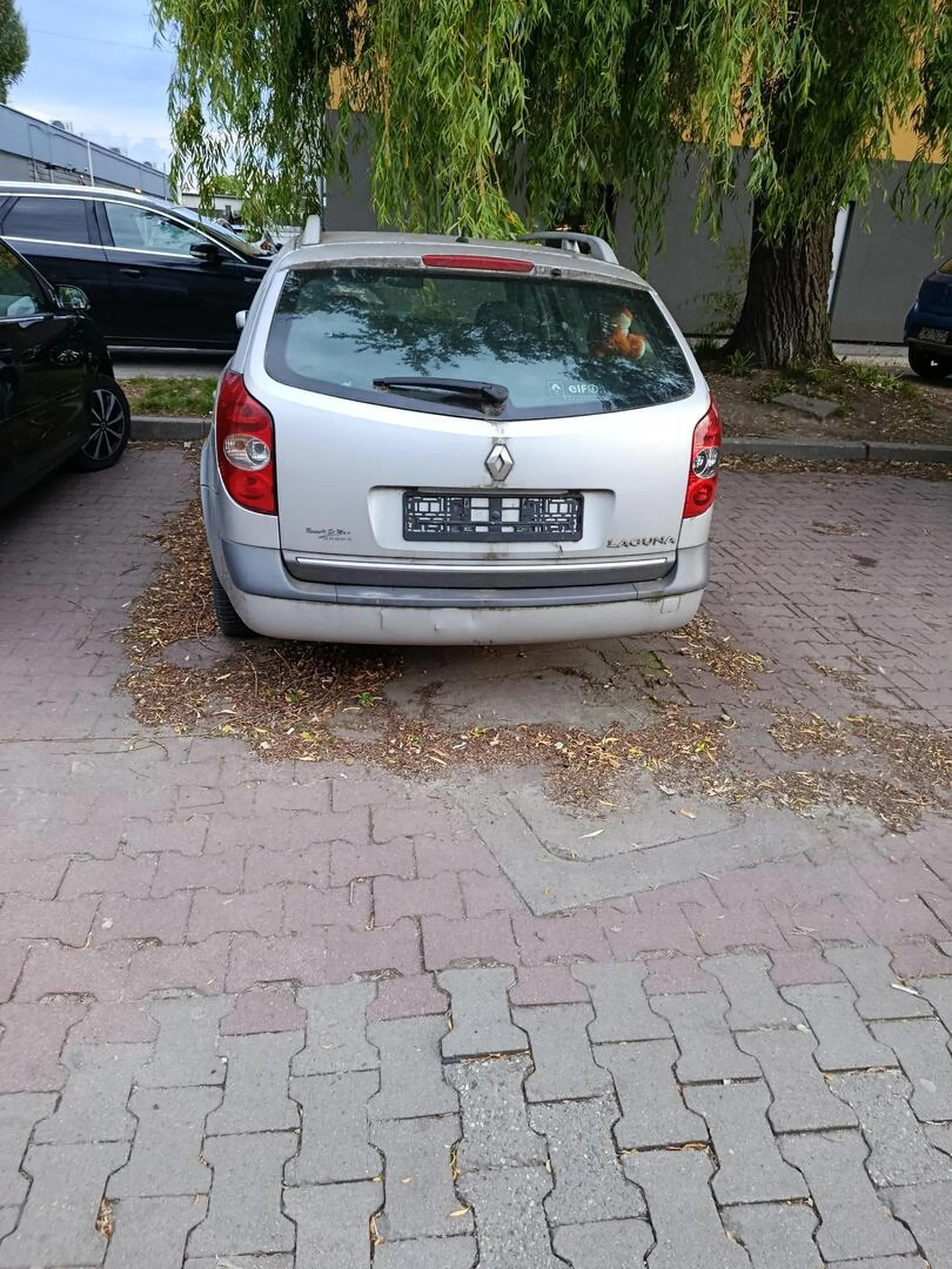 Auto stoi i wrasta . Biedronka Wilchwy ktoś coś ?