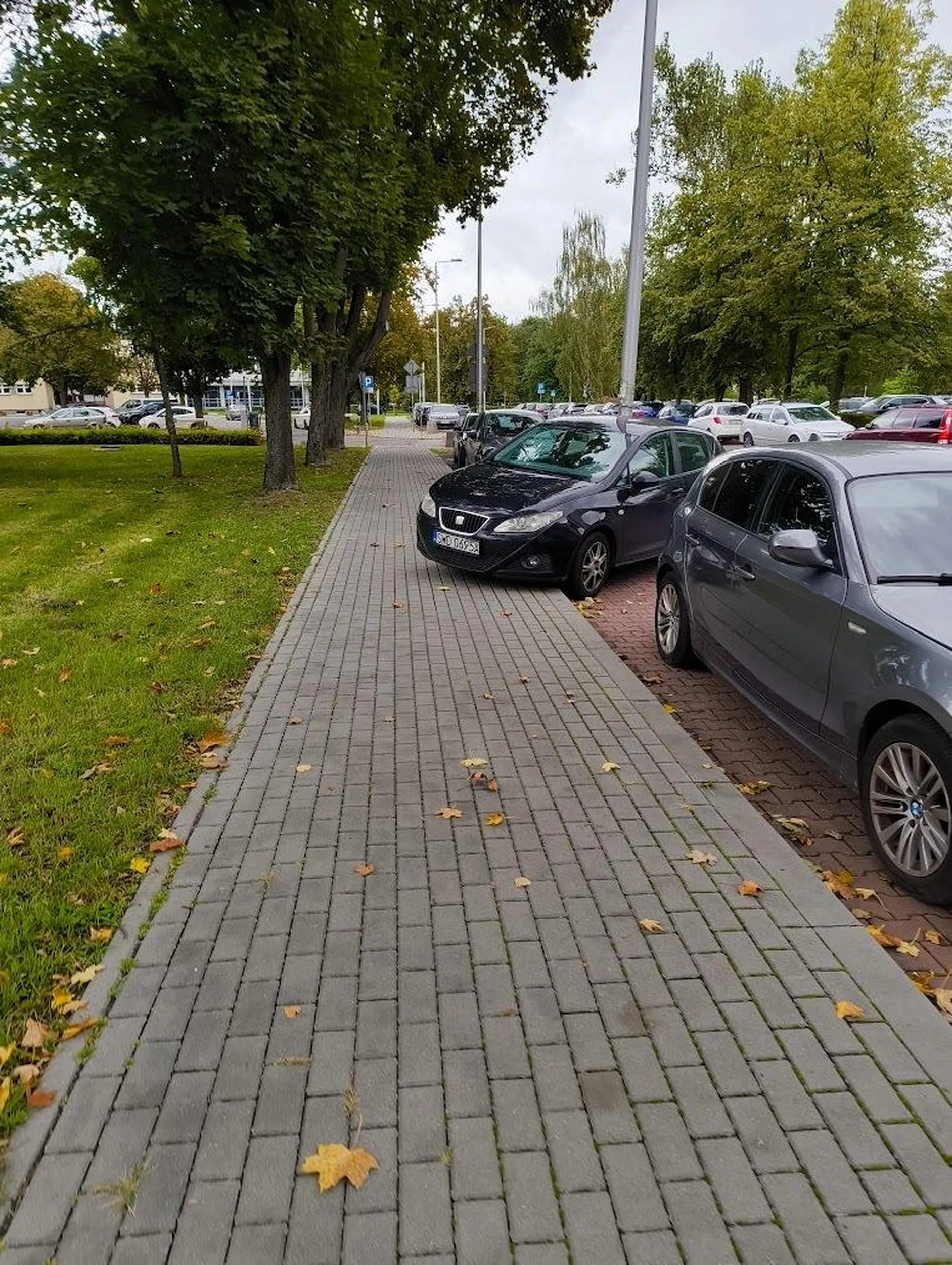 Miejsca wyznaczone do parkowania równoległego, ale trzeba było stanąć na trawie, na ukos i zabrać pół chodnika...