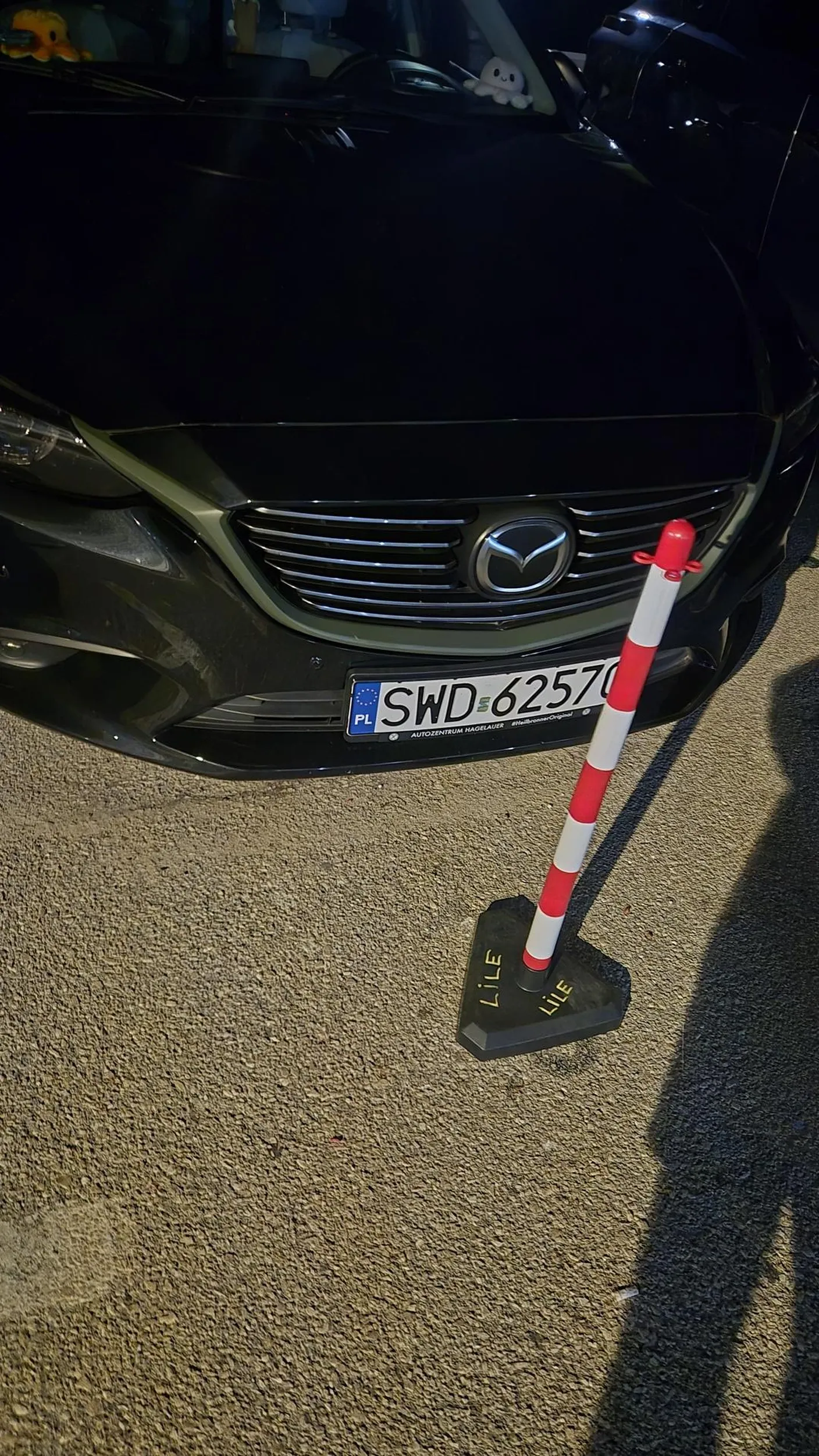 Miła rodzinka! Parkowanie wzorowe.Widzimy sie znowu za rok w  Chorwacji .