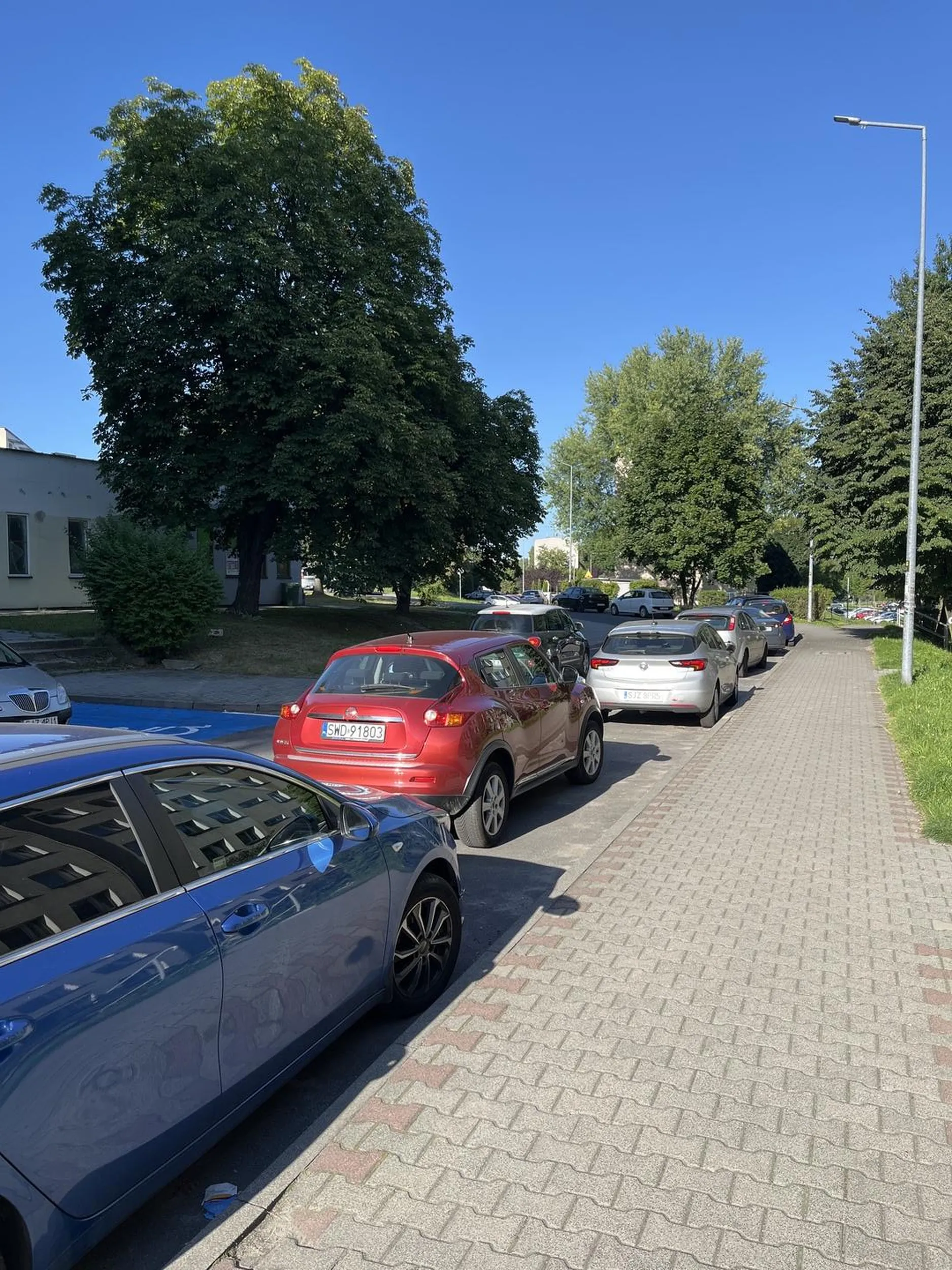 Nie umie parkować cymbał