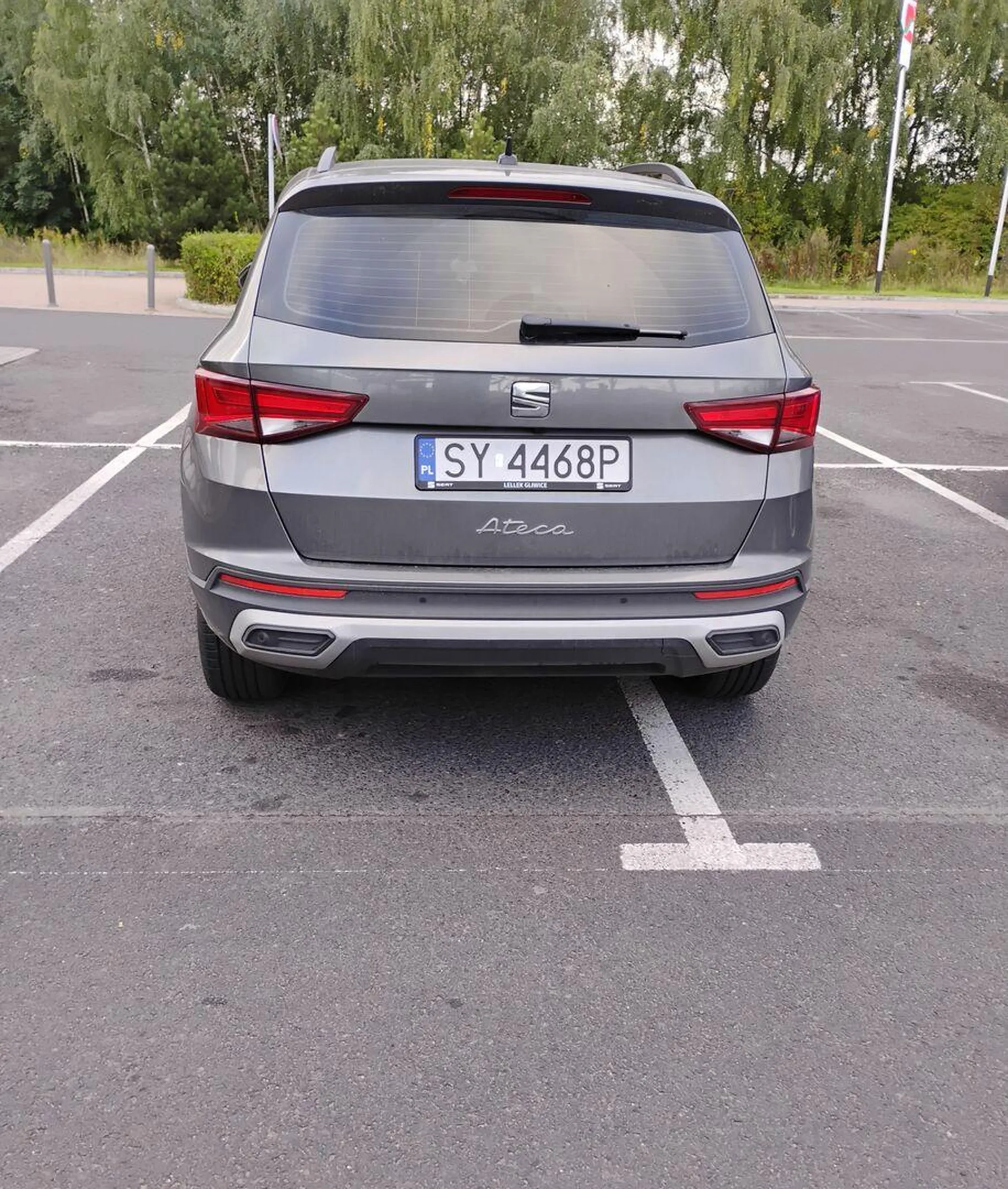 Samolub ślepy nieumiejący parkować