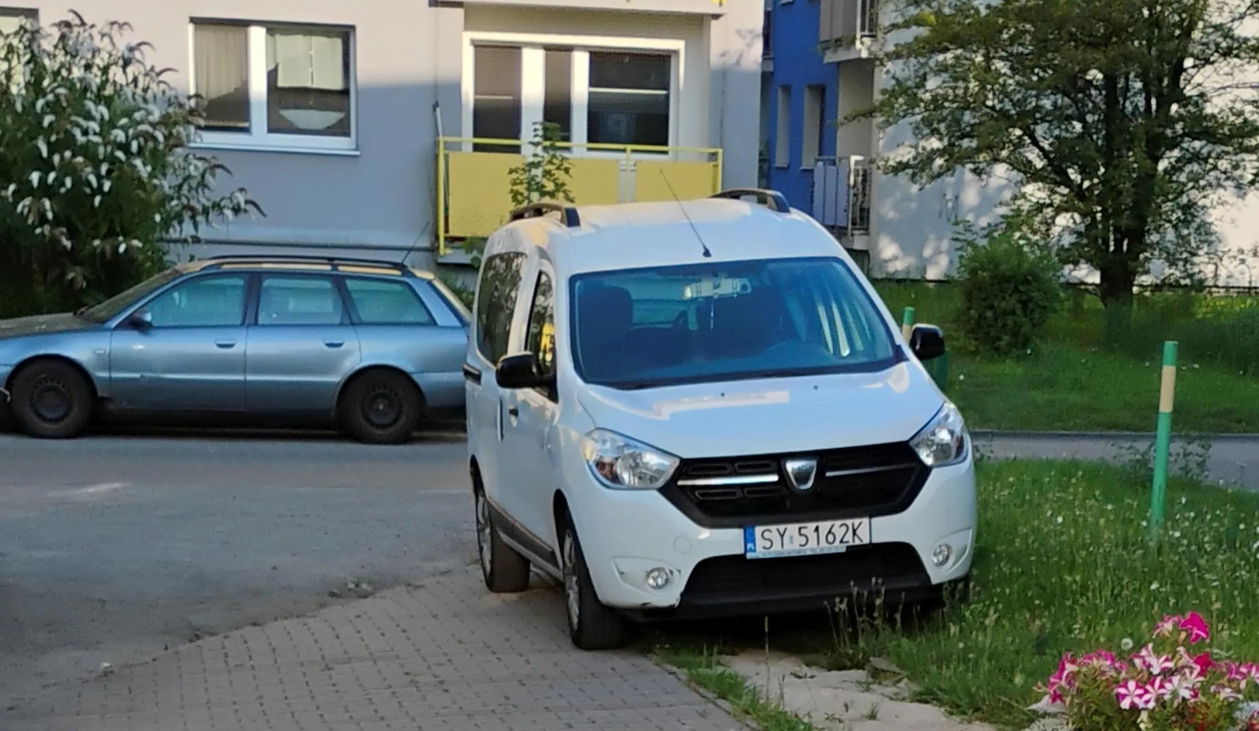 szrot niszczy trawę