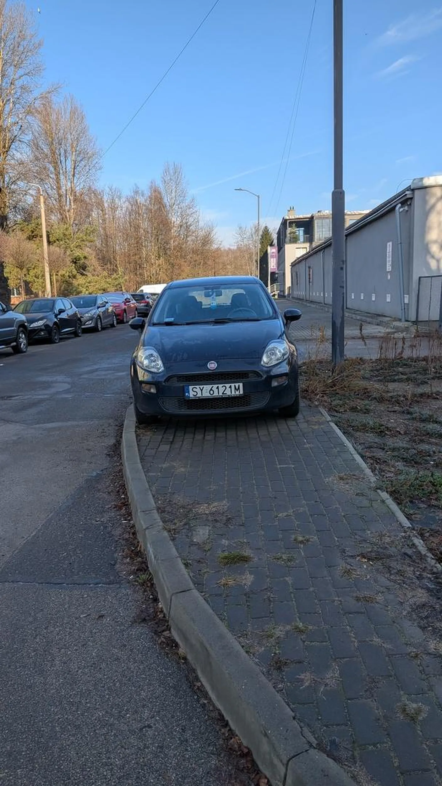 Na chodniku, bo czemu by nie.