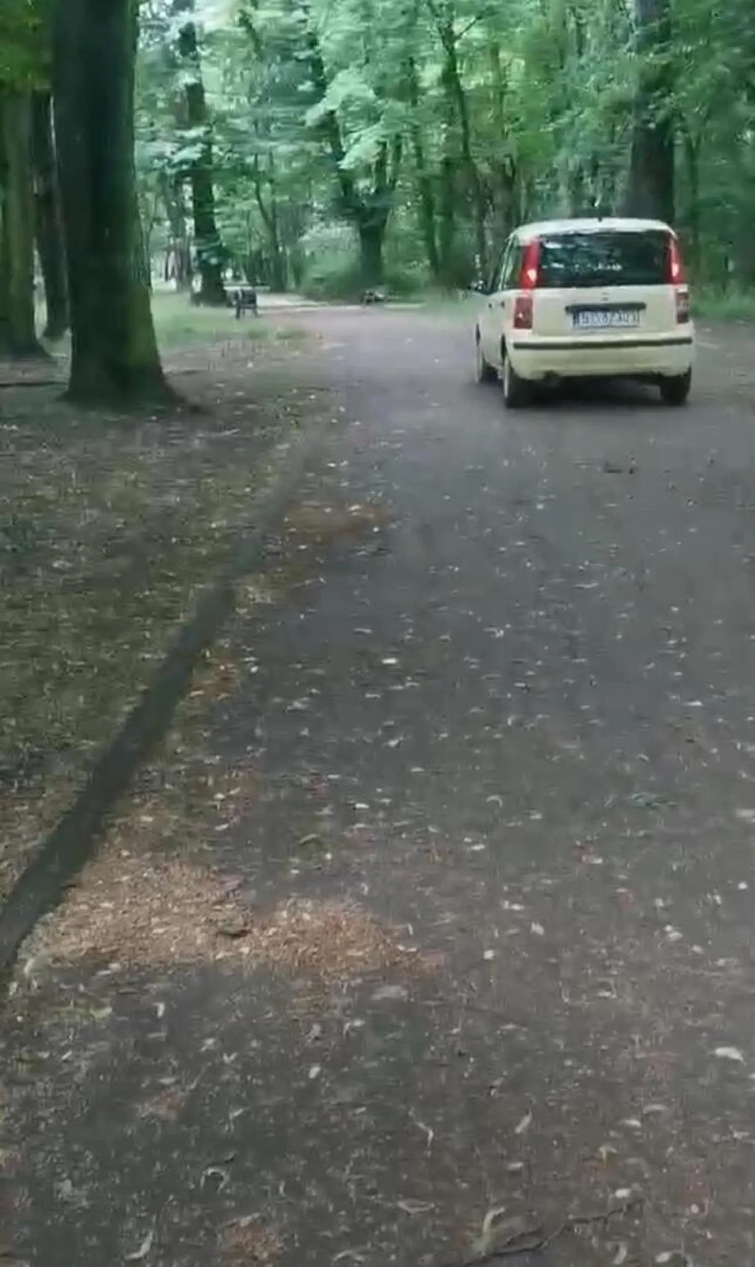 Jeździ po alejkach w parku Kachla w Bytomiu bo sobie skrót znalazła. Zgłoszone na policję