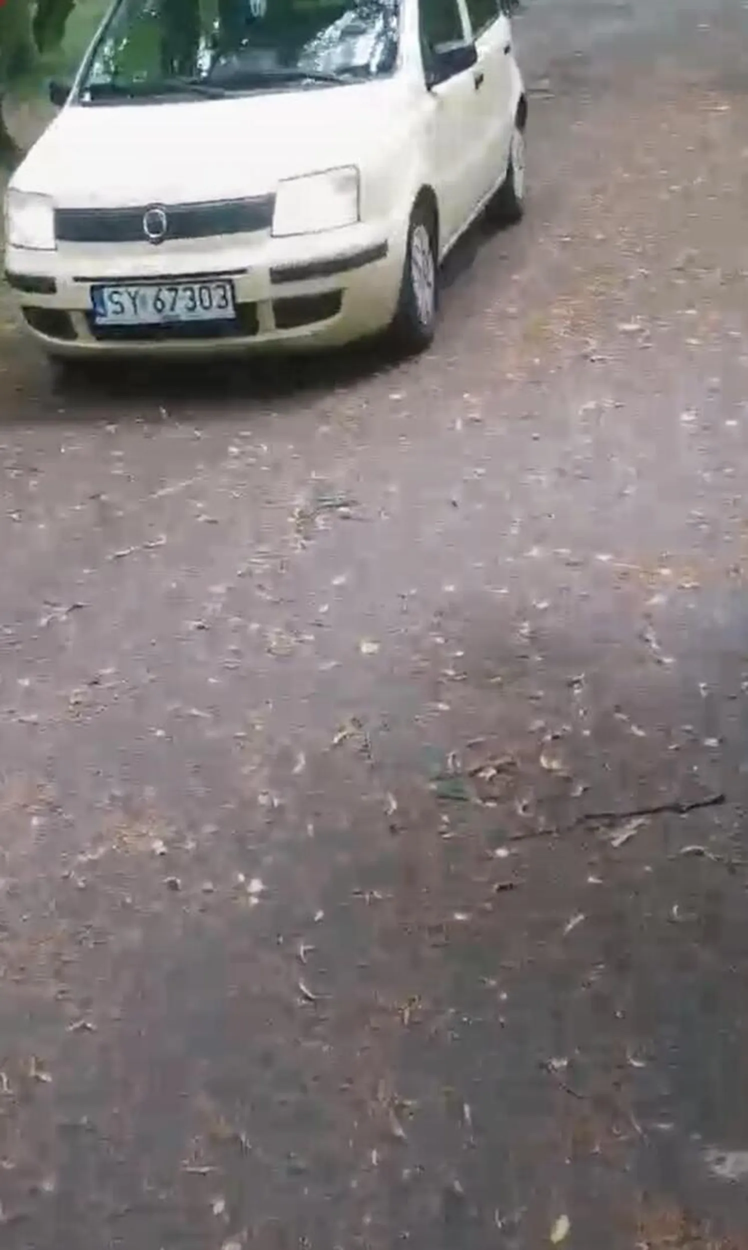 Jeździ po alejkach w parku Kachla w Bytomiu bo sobie skrót znalazła. Zgłoszone na policję