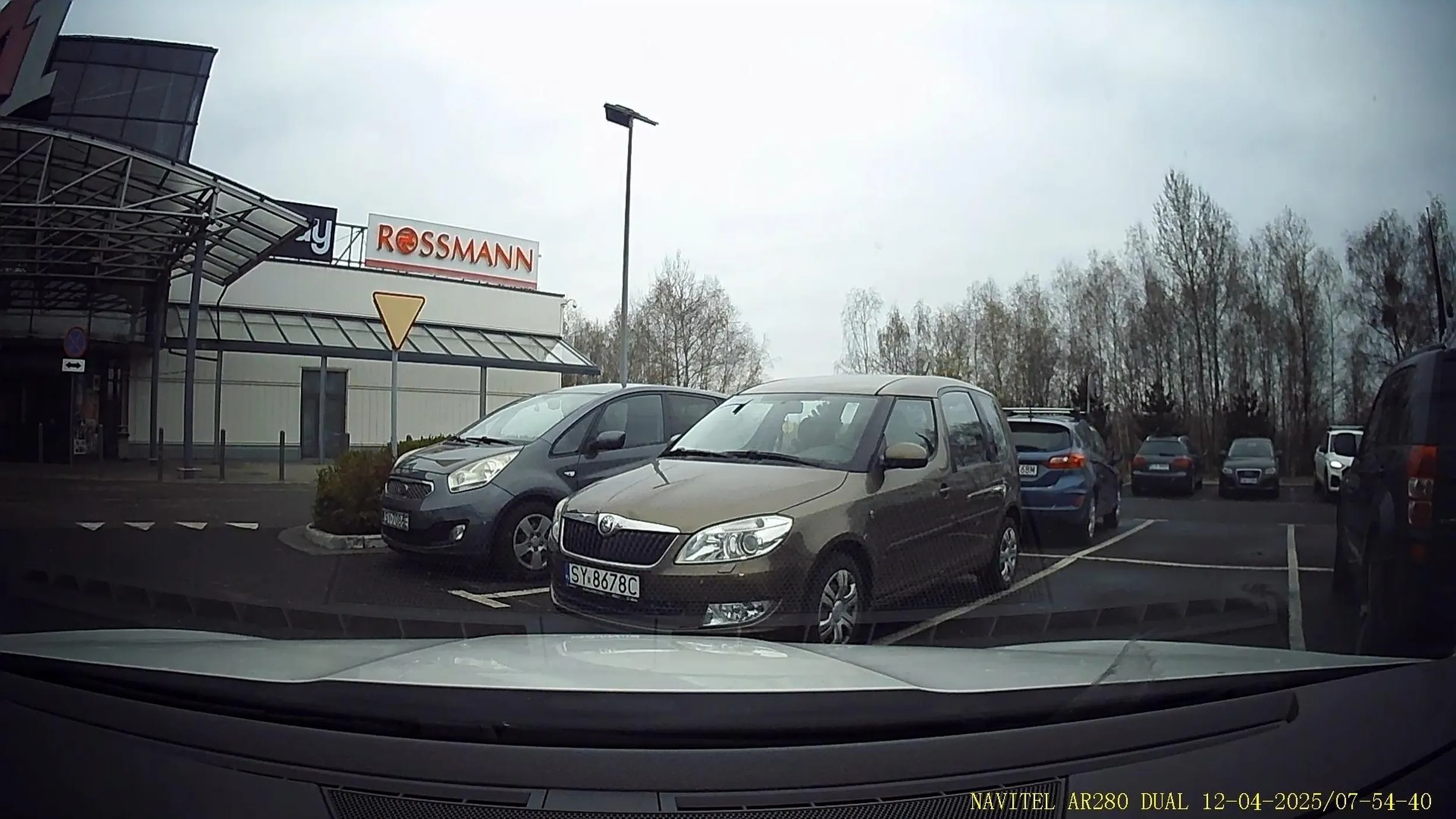 ślepy samolub co zajmuje dwa miejsca