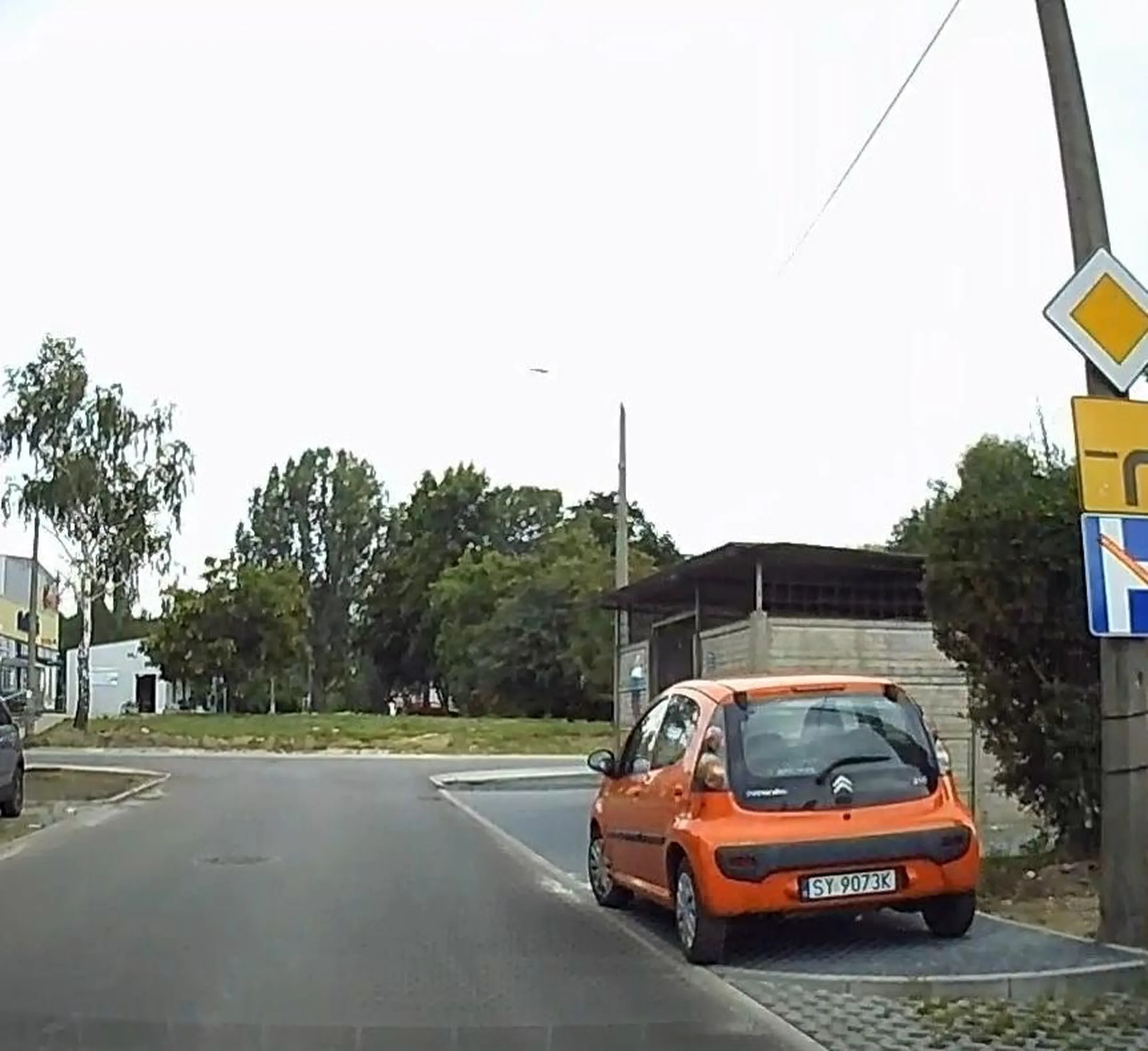 Nowy chodnik i baran parkujący na nim