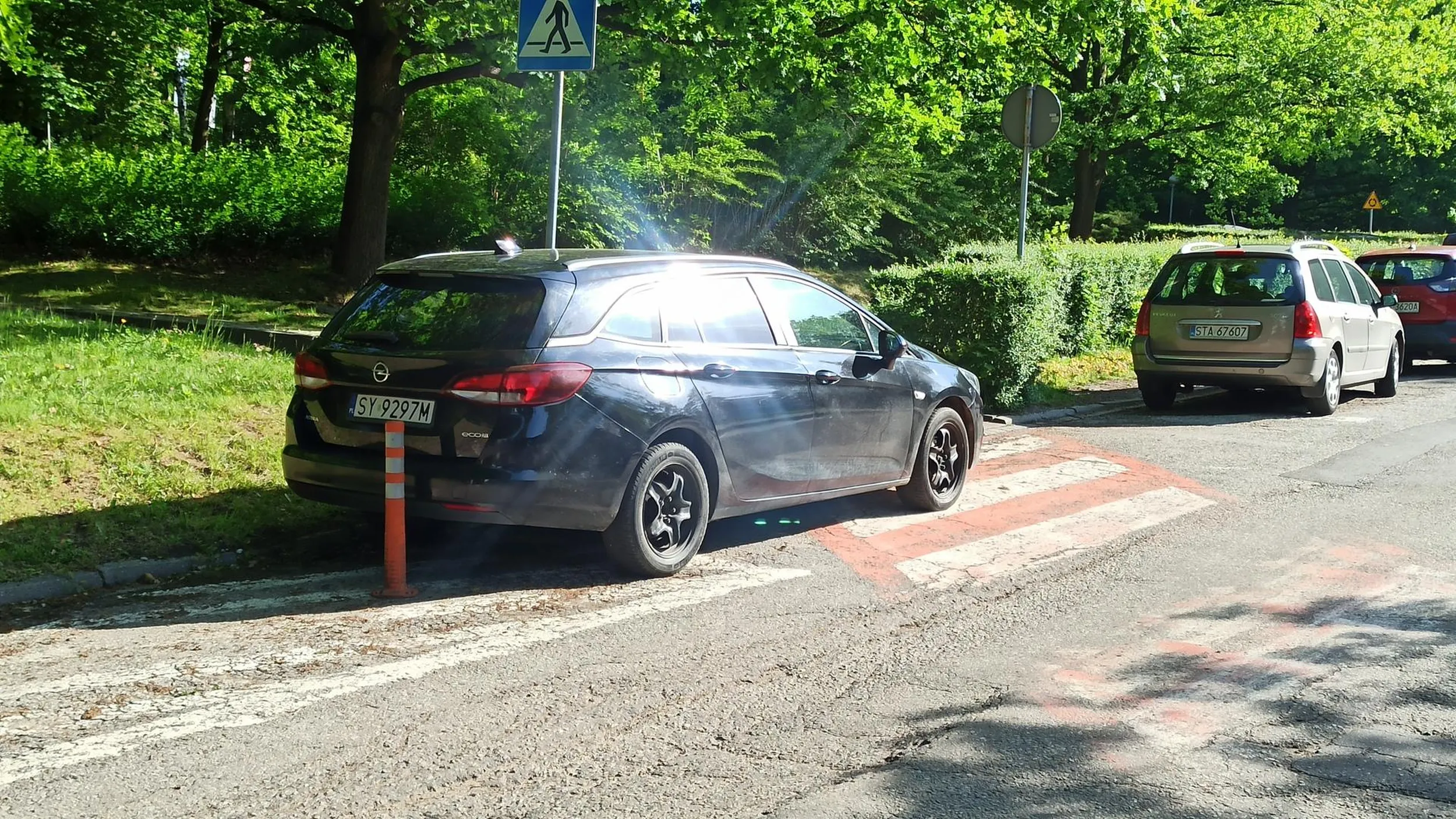 Mamu wyjebongo na wszystkich i wszystko