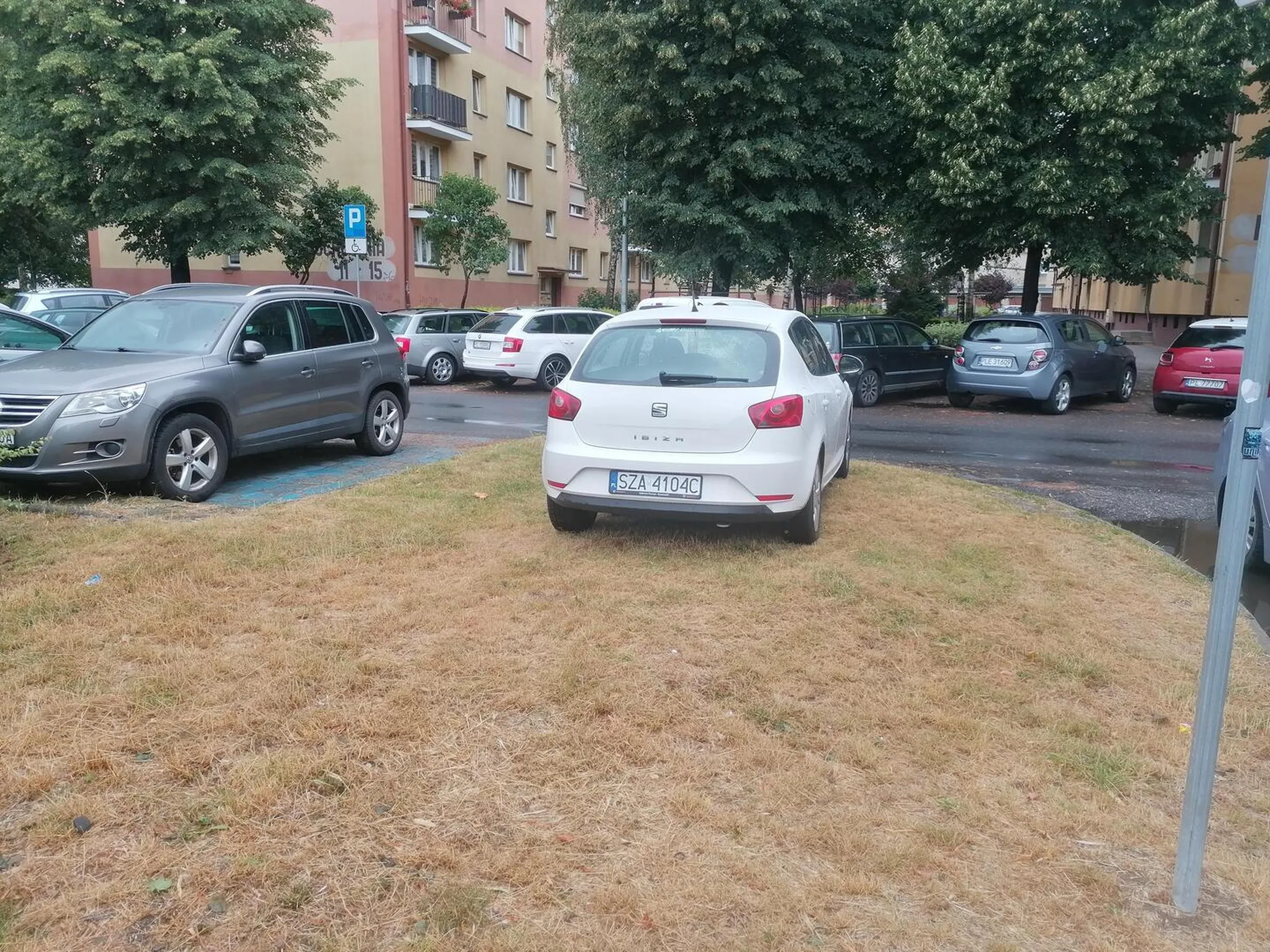 Niszczenie zieleni w Lesznie, mimo że kilkaset metrów dalej zawsze można znaleźć wolne miejsca parkingowe.