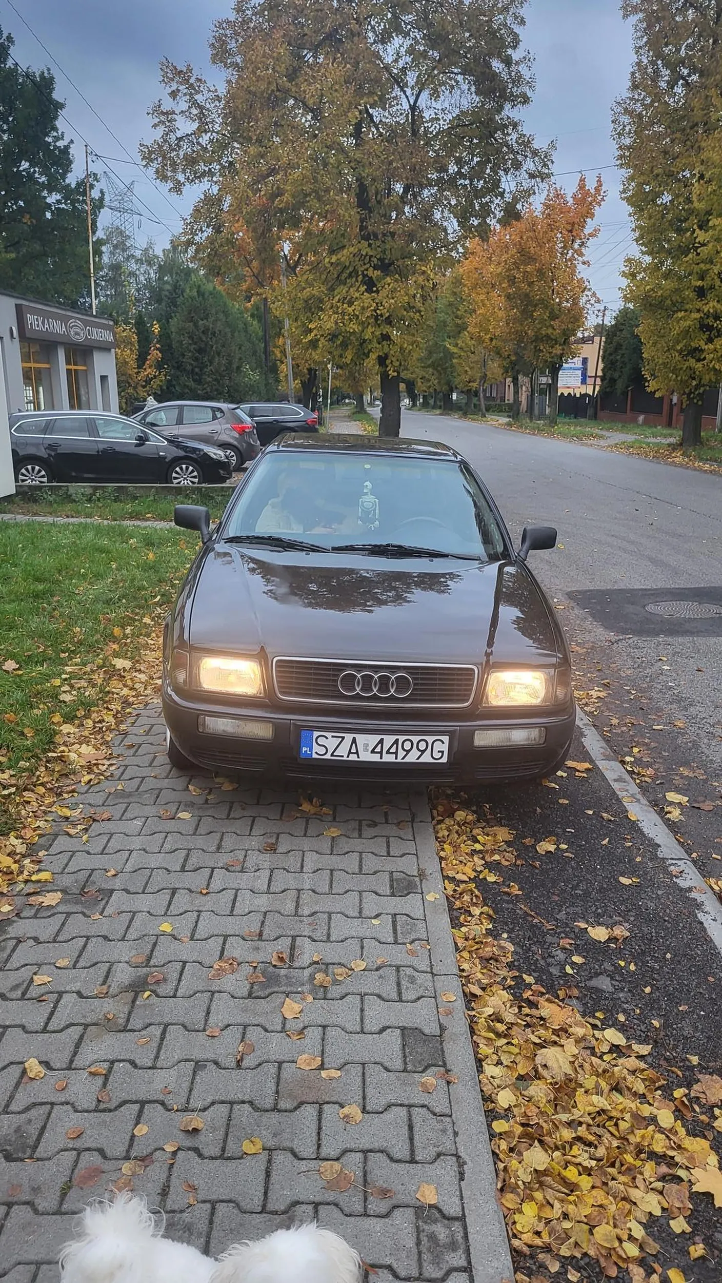 Kierujący Audi, poruszał się wzdłuż chodnika, zmuszając nas do zatrzymania się. Zignorował moje uwagi o dostępności miejsc parkingowych w obrębie całego zdarzenia, a na uwagę o popełnionych wykroczeniach, mężczyzna w pomarańczowej bluzie, zasugerował bym zgłosił to na policje - w zasadzie, zachęciłeś mnie tym, bym to zrobił, a Twoje groźby co mi to niby zrobisz to będziesz mógł dopowiedzieć w sądowej konfrontacji jeśli odmówisz przyjęcia mandatów. Jak dla mnie: - jazda wzdłuż chodnika całą jego szerokością, - parkowanie / postuj powyżej jednej minuty, na chodniku bez postawienia 1,5 m przestrzeni, - pozostawienie pojazdu z włączonym silnikiem (bez nadzoru) w obszarze zabudowanym. - tarasowanie wyjazdu garażu straży pożarnej.