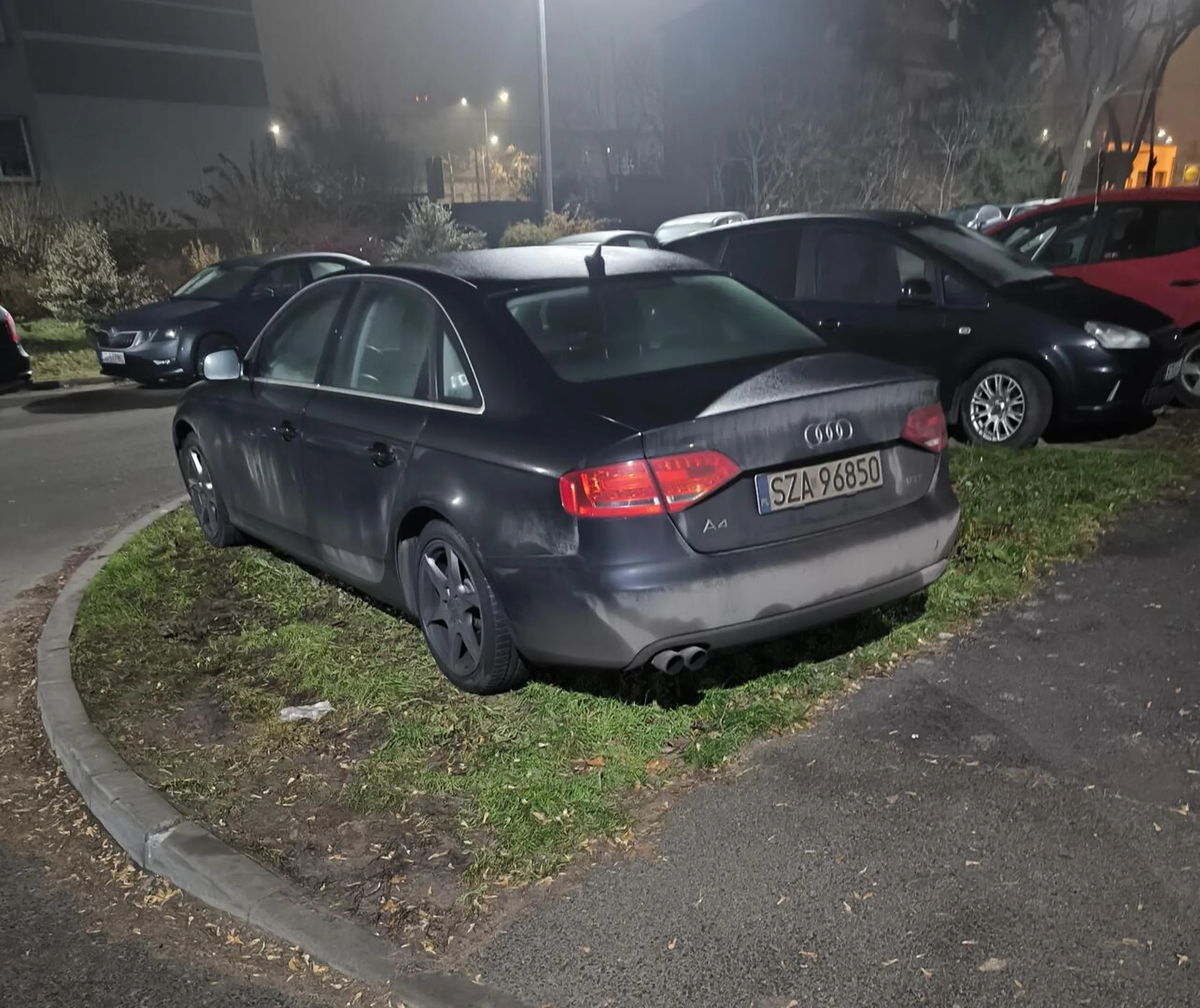 Tak się na ulicy Chopina w Dąbrowie Górniczej szanuje zieleń