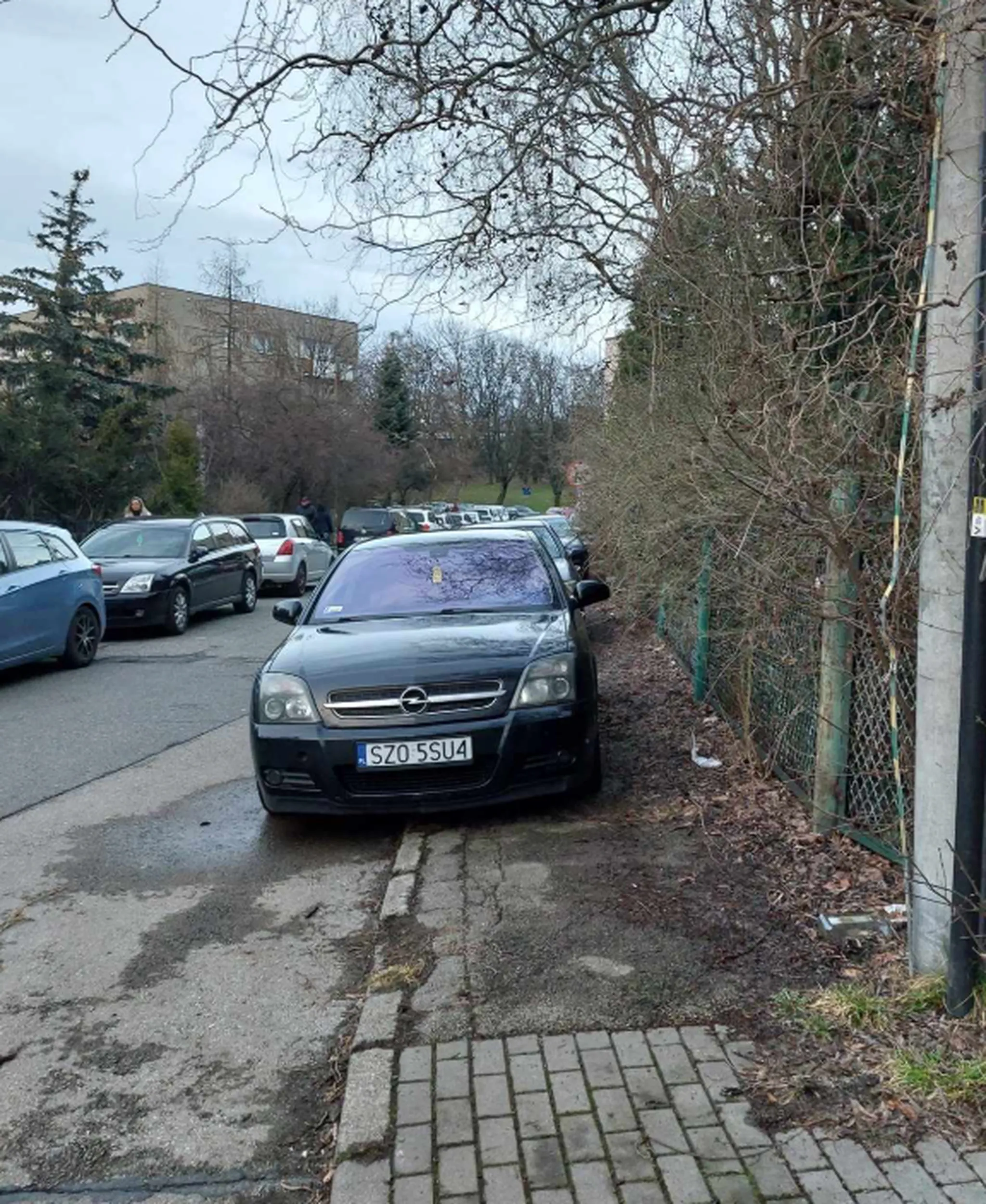 Blokowanie chodnika bezmyślnym parkowaniem. Pieszym zostawia 10 cm i krzaki.