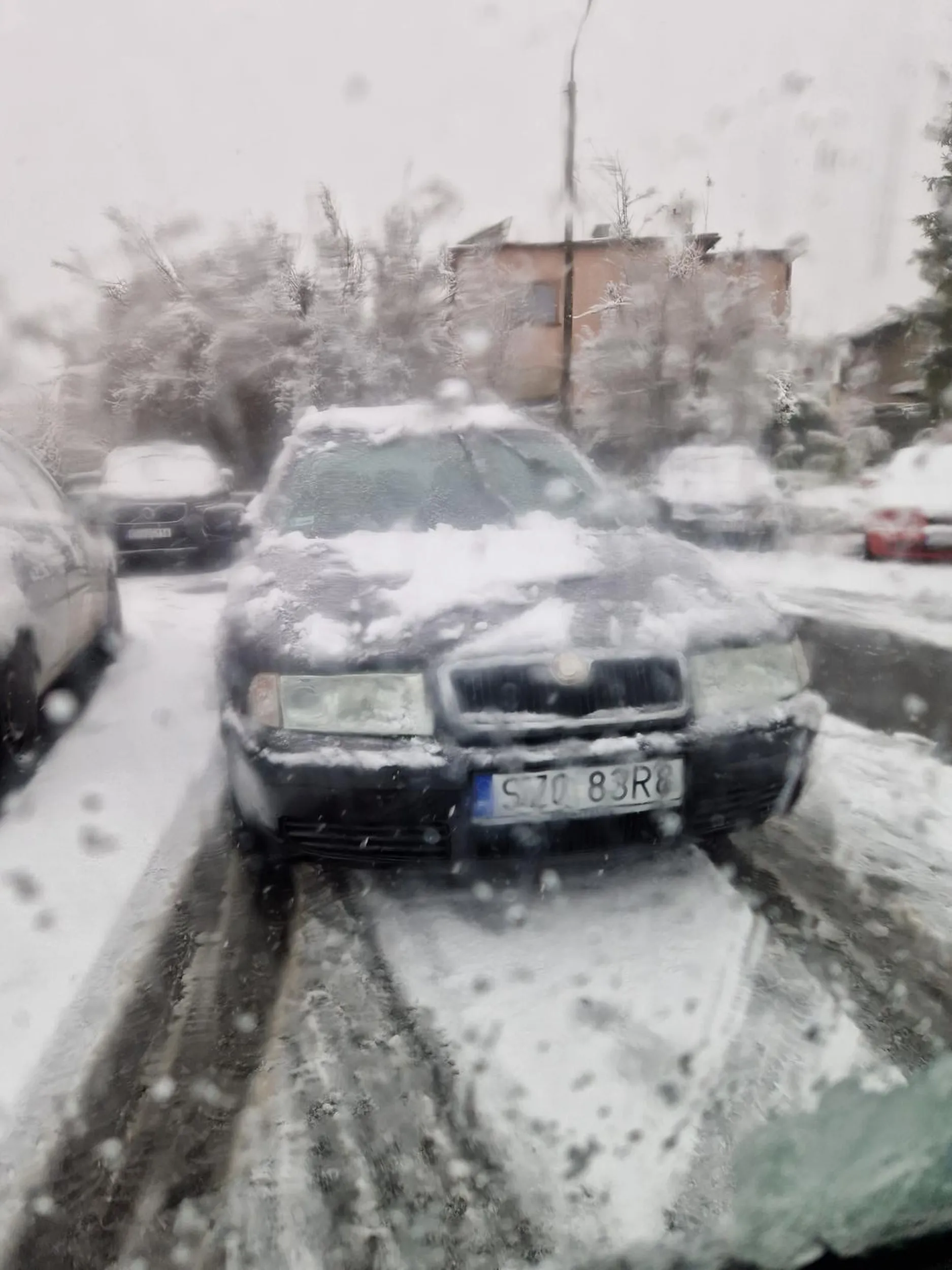 Osoba zaparkowała na środku parkingu, blokując samochody, po zwruceniu uwagi zaczęła się przede mną wymądrzać, mówiąc, że powinnam stawać tyłem. Mistrzyni parkowania!