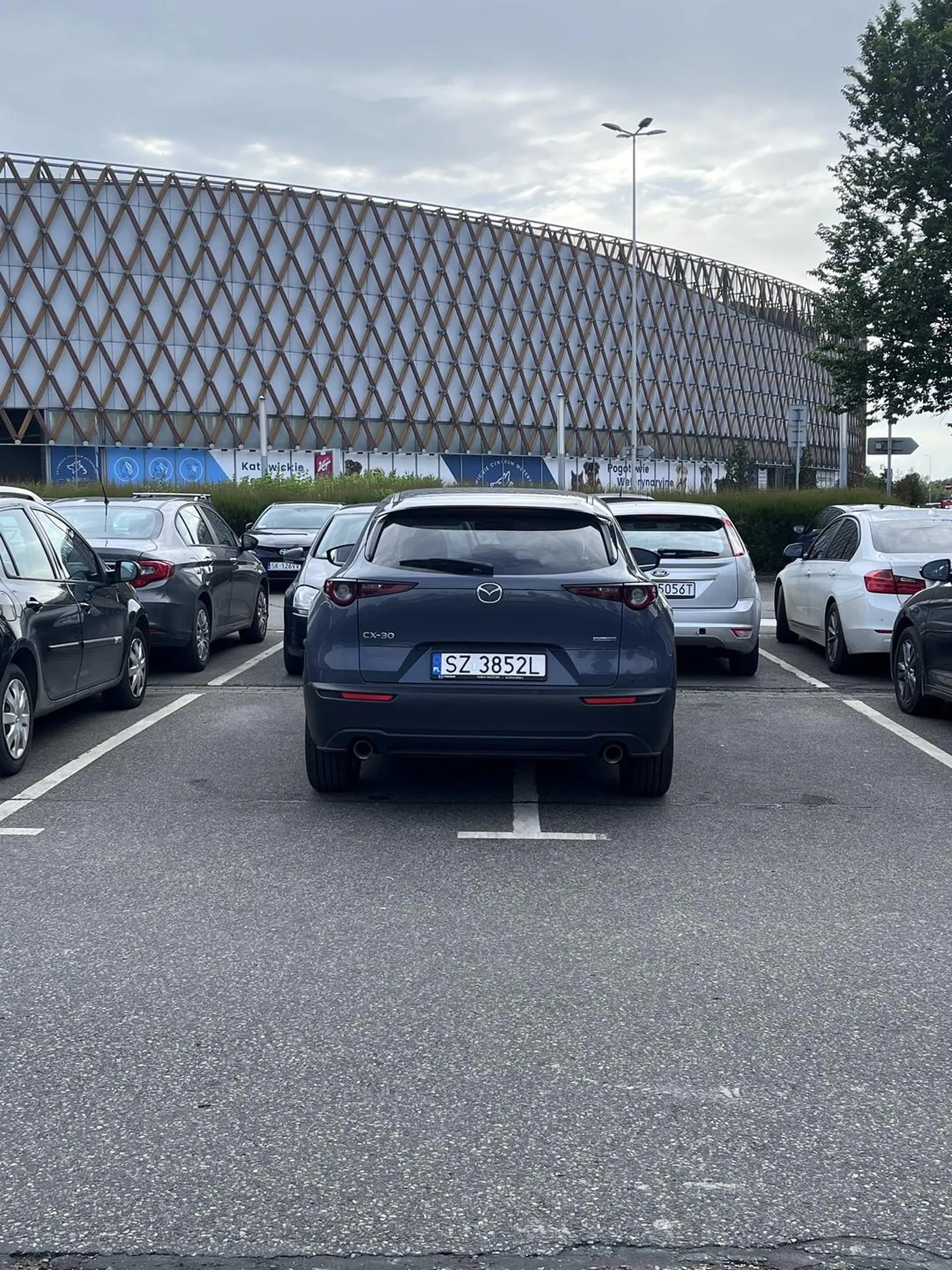 Polecam nie opuszczać swojej wsi, jak nie umiesz parkować