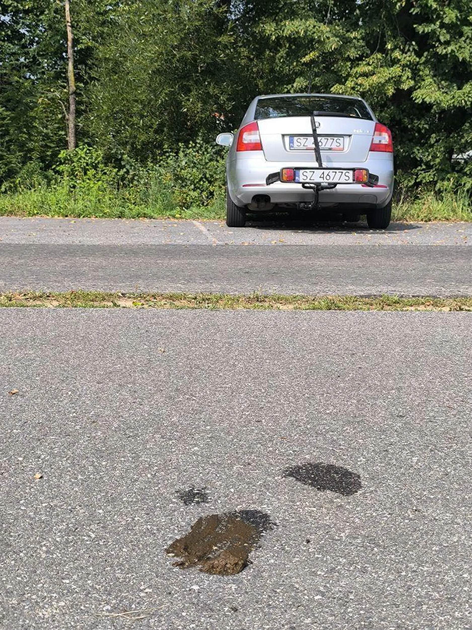 Dzisiaj rano piesek młodej pary postanowił załatwić się na samym środku ścieżki rowerowej. Panna stwierdziła, że się bardziej nie da posprzątać i trzeba Karchere a do rzeki, aż 5m by chociażby spłukać to co pozostało. Może przynajmniej jak tu zajrzą to będzie im w jakikolwiek sposób wstyd.
