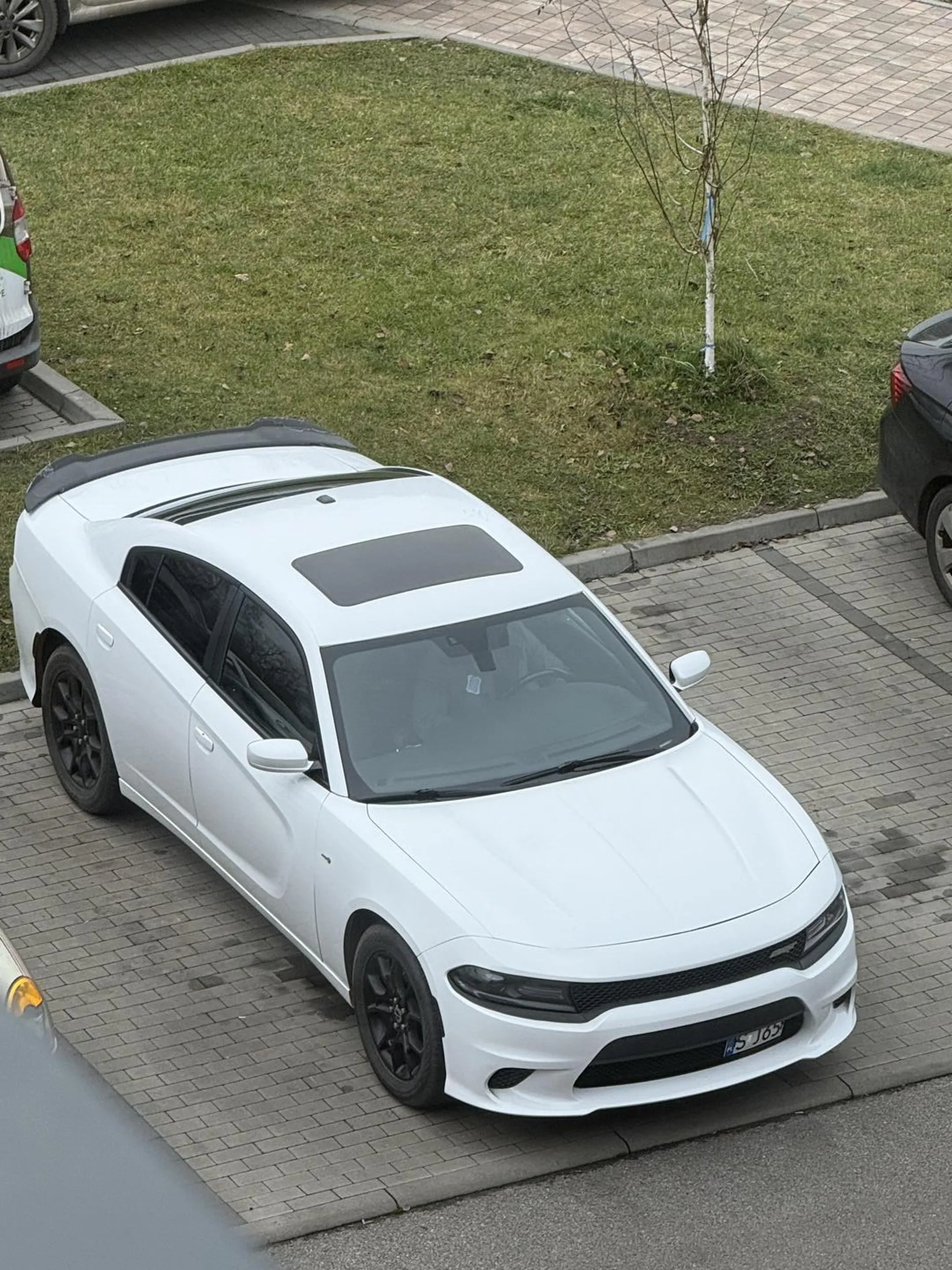 Pięknie zaparkowany dodge na dwóch miejscach parkingowych