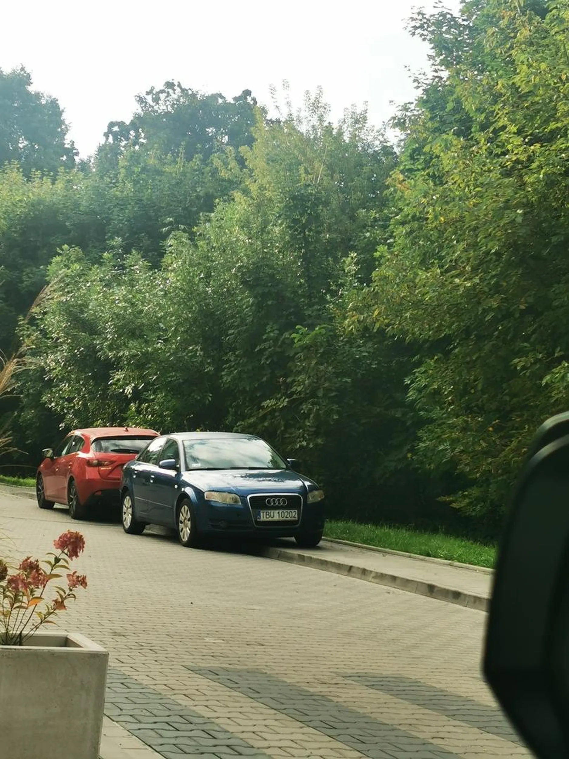 Robię tak codziennie