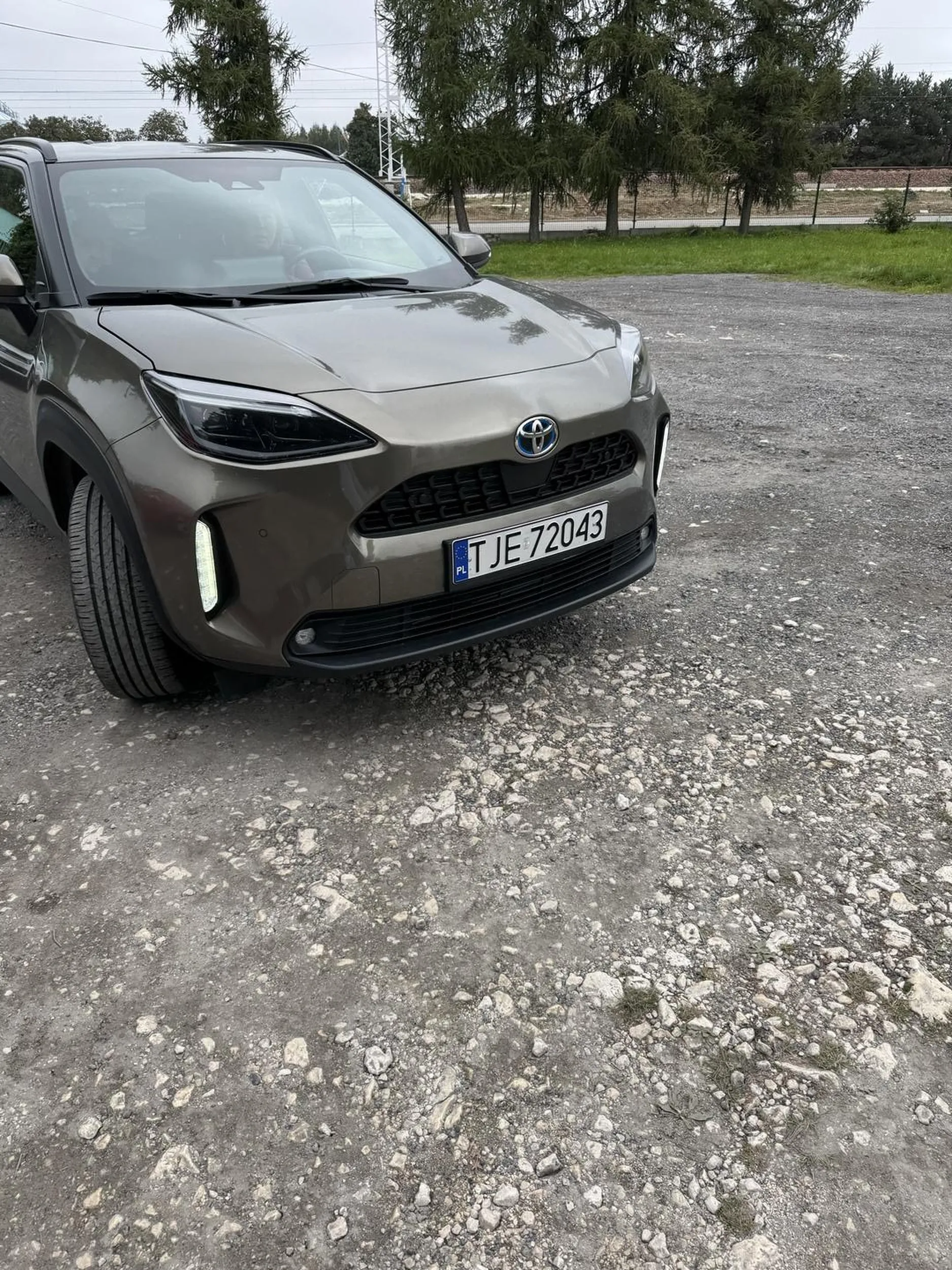 Cieplutko pozdrawiam panią która zwyzywała mnie od gówniar bo stanęłam obok niej pod sklepem ogrodniczym i gdy szła z workiem ziemi to walnęła mi 2 razy w samochód bo JAK KTOŚ MÓGŁ OBOK NIEJ STANĄĆ JAK ONA NIESIE CIĘŻKIE RZECZY… (Bo każda baba musi widzieć przez ścianę co Pani kupuje w sklepie i że będzie Pani niosła ziemię). Proszę Panią następnym razem więcej krzepy i wiary w siebie bo siłę żeby walnąć w samochód Pani miała a zrobić 4 kroki więcej to już nie. W dodatku zostawiłam miejsce dla pasażera czyli dla Pani mamy która musiała się wstydzić zachowaniem córki i bronić obcą osobę.