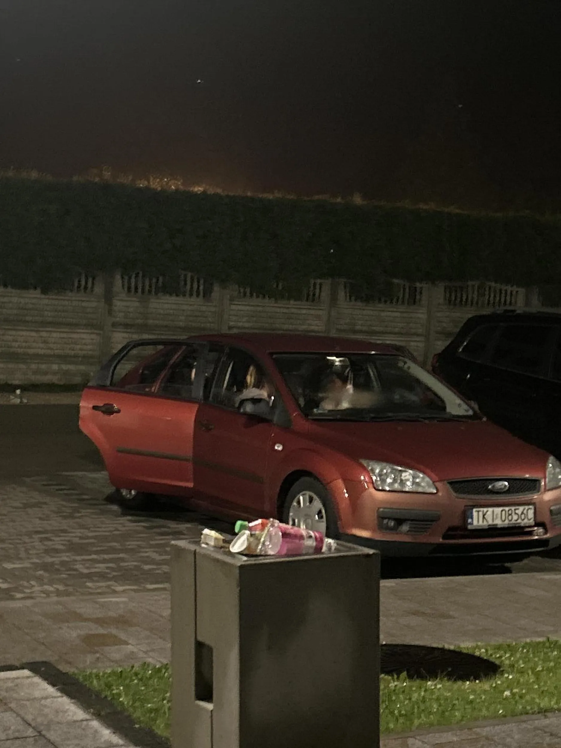 Pani bardzo nie kulturalna, na drodze zachowuje się jak ostatni cham, parkuje w poprzek na miejscu dla niepełnosprawnych a jak jakiś inwalida chciał zaparkować to go pobiła