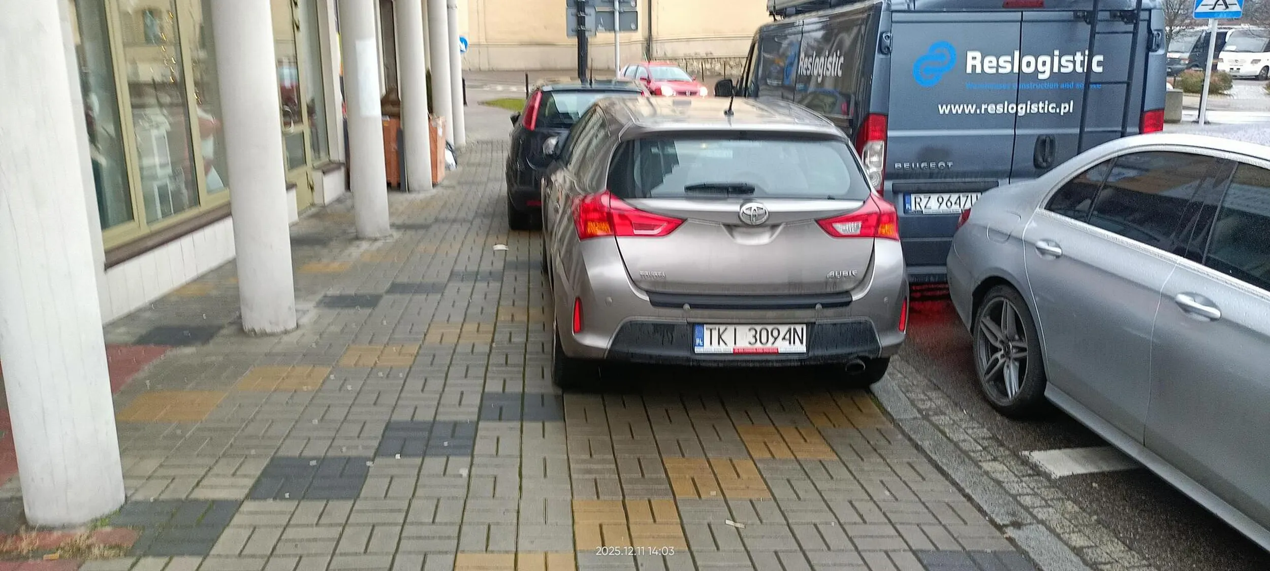 Święta krowa chodnikowa.