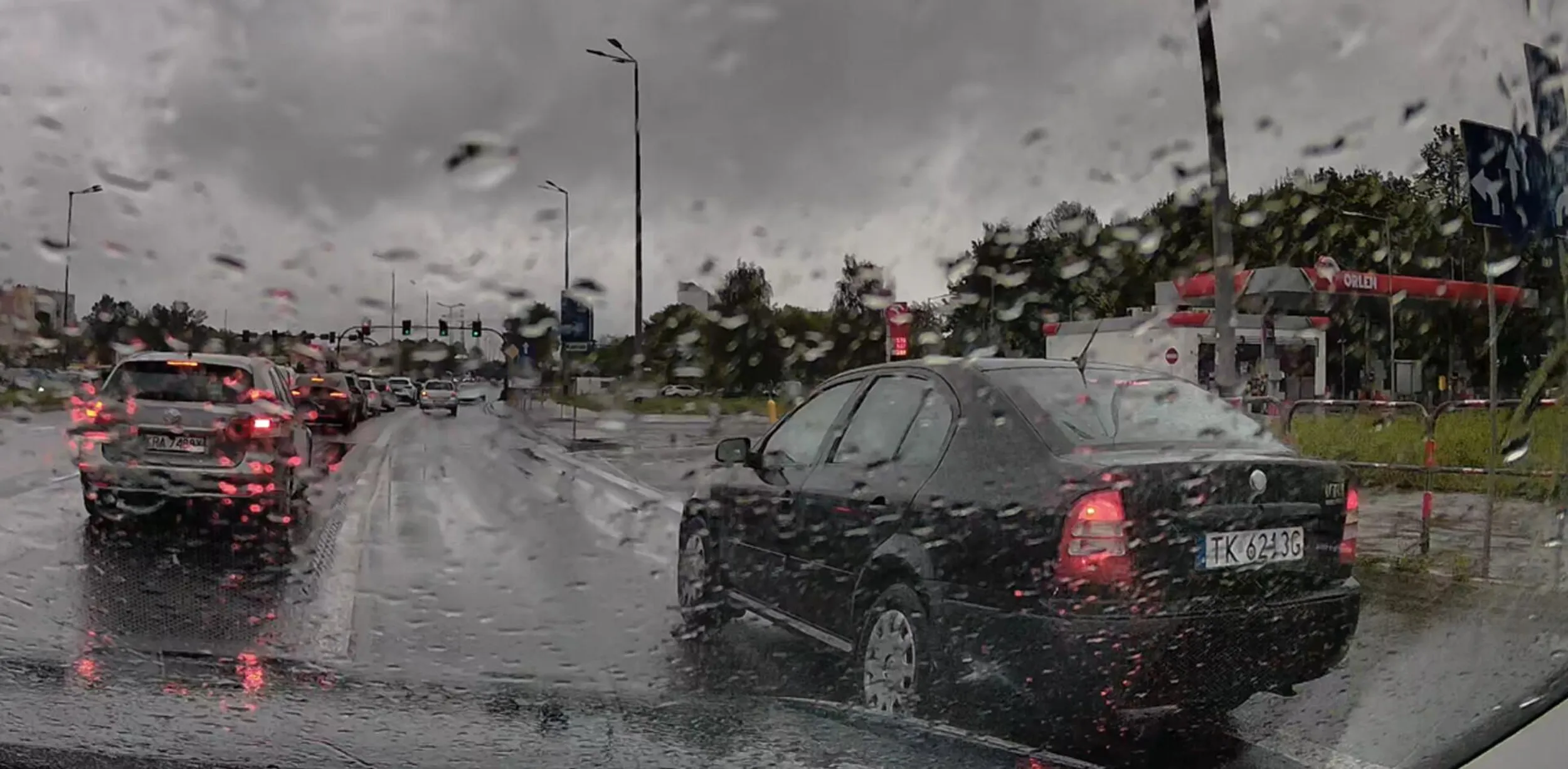 gamoń omija korek buspasem