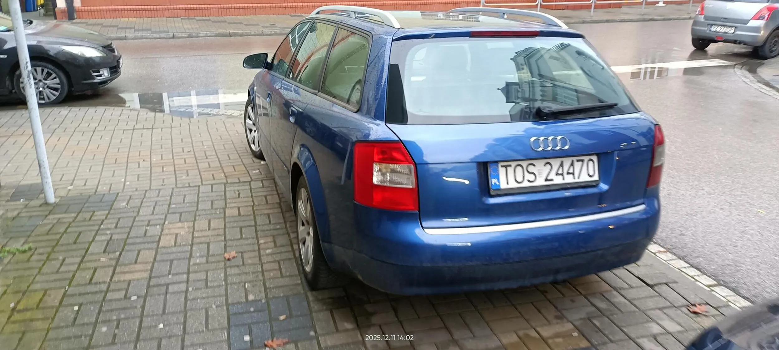 Święta krowa chodnikowa