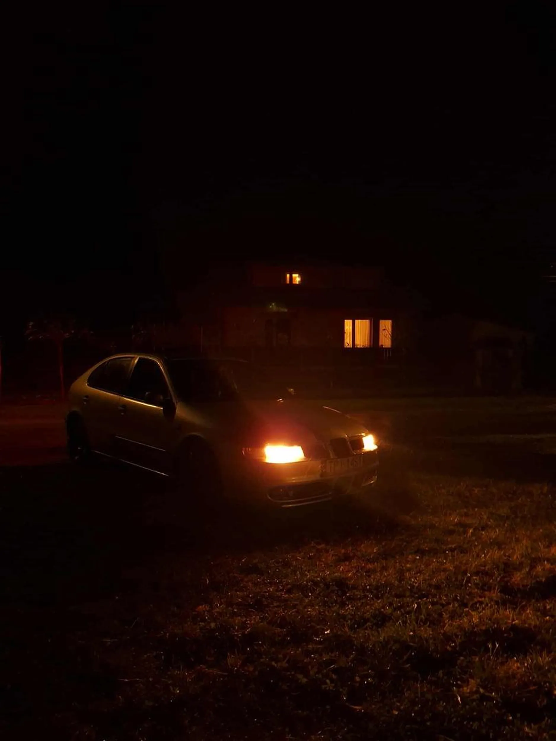 Porył cały trawnik pod domem nie pozdrawiam.