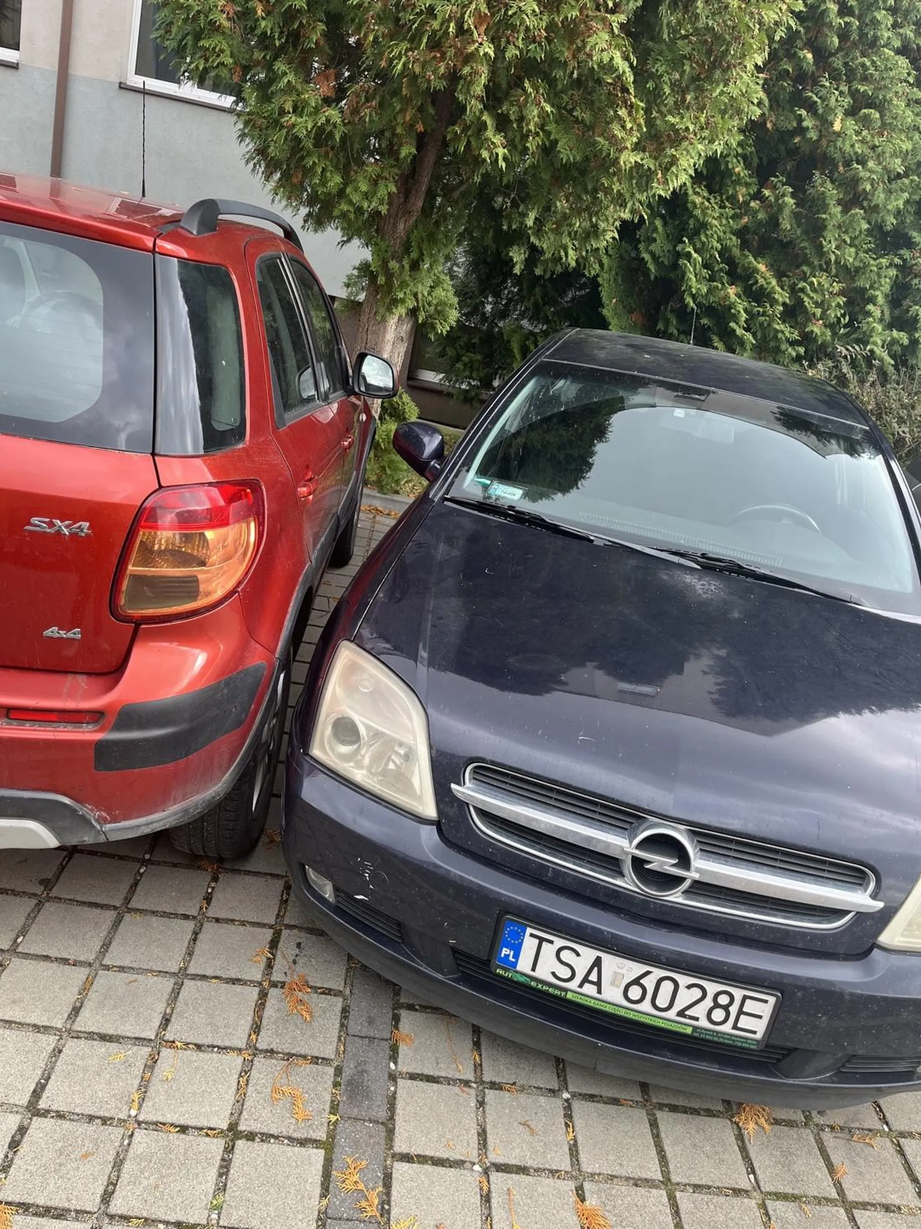 pod uniwersytetem rzeszowskim. widać że prawko wygrane w chipsach.. naucz się parkować gówniarzu