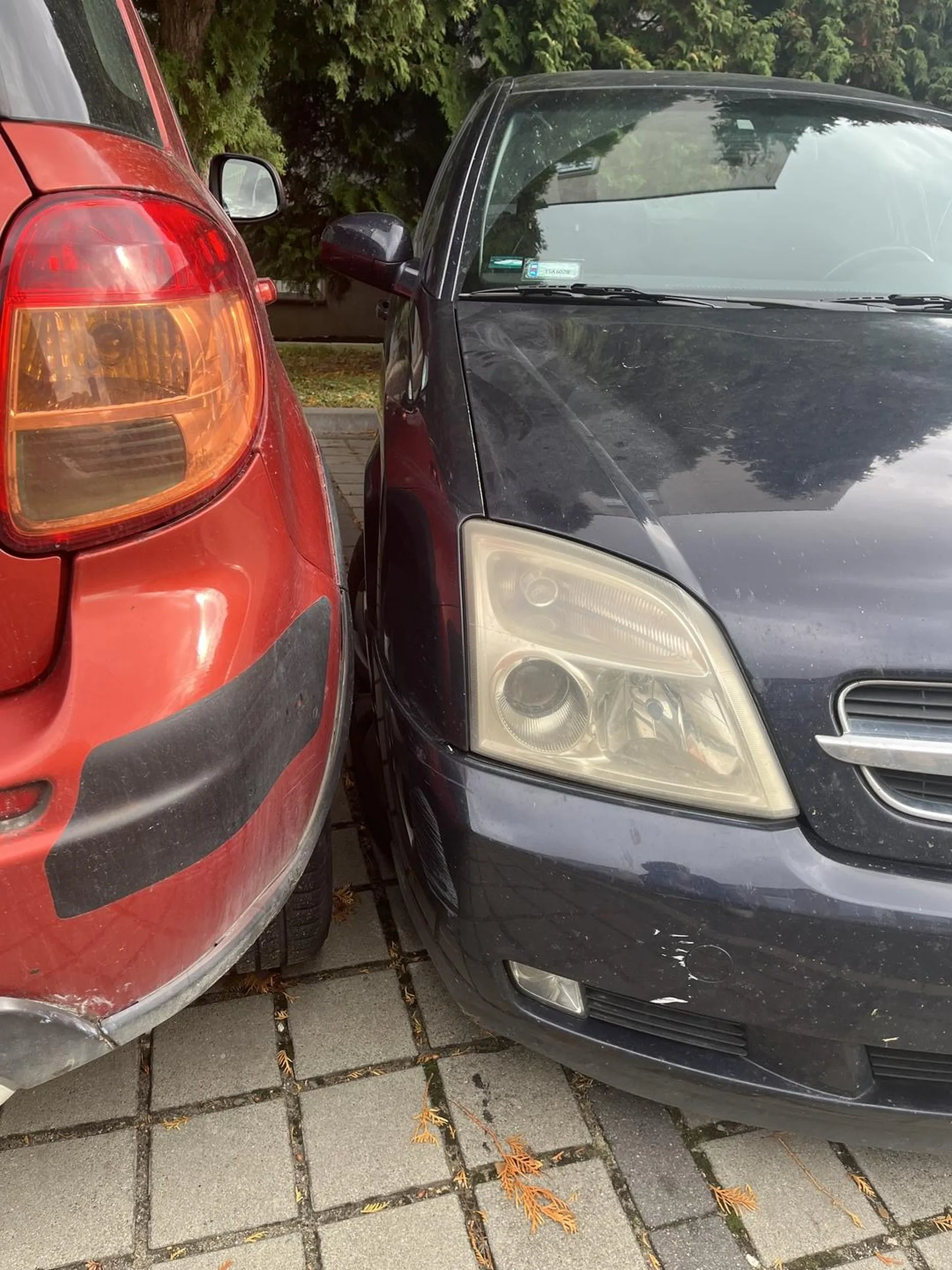 pod uniwersytetem rzeszowskim. widać że prawko wygrane w chipsach.. naucz się parkować gówniarzu