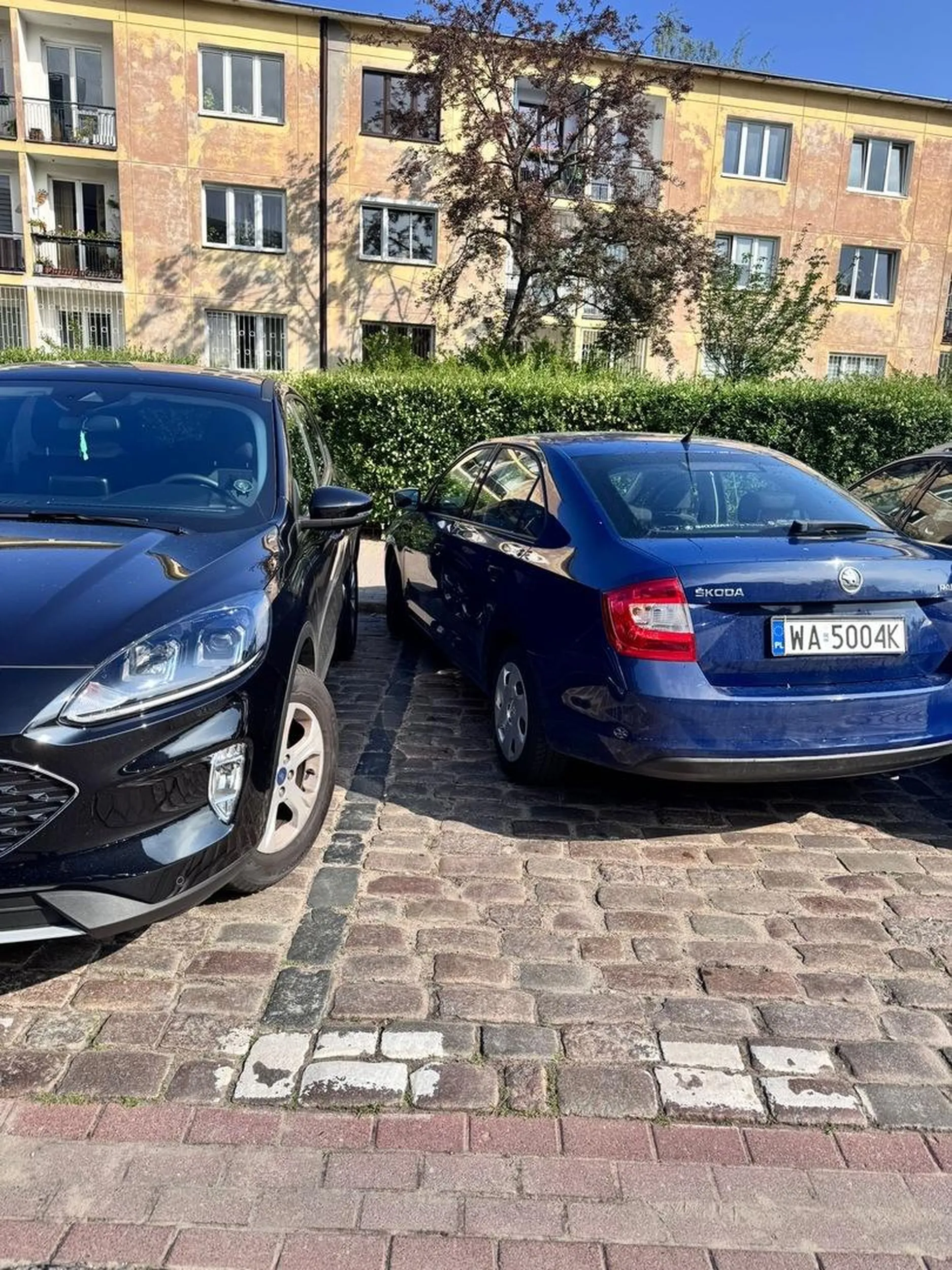 Cham i burak zajechał miejsce kobiecie, która wykonywała manewr parkowania.