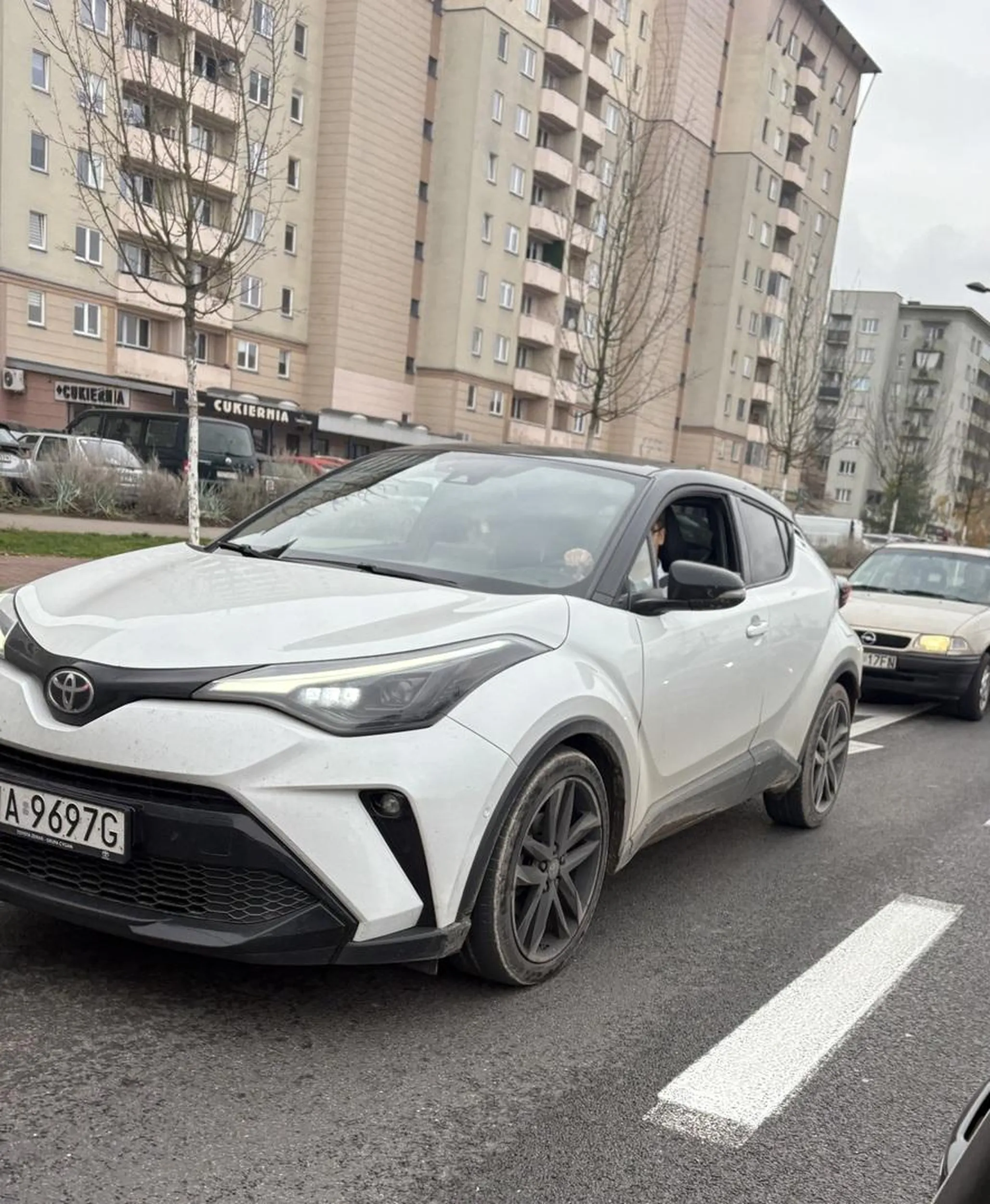 Cyniczny i stwarzający zagrożenie na drodze, ponieważ nie stosuje się do przepisów o czym bardzo dobrze wie, ale śmieje się z tego prosto w twarz.