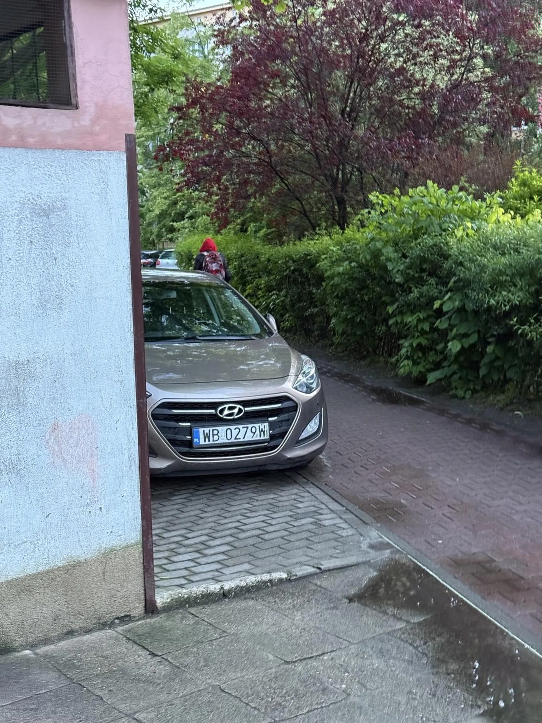 Cep nie umie zaparkować i blokuje wjazd na parking tak, że trzeba jechać po krzakach