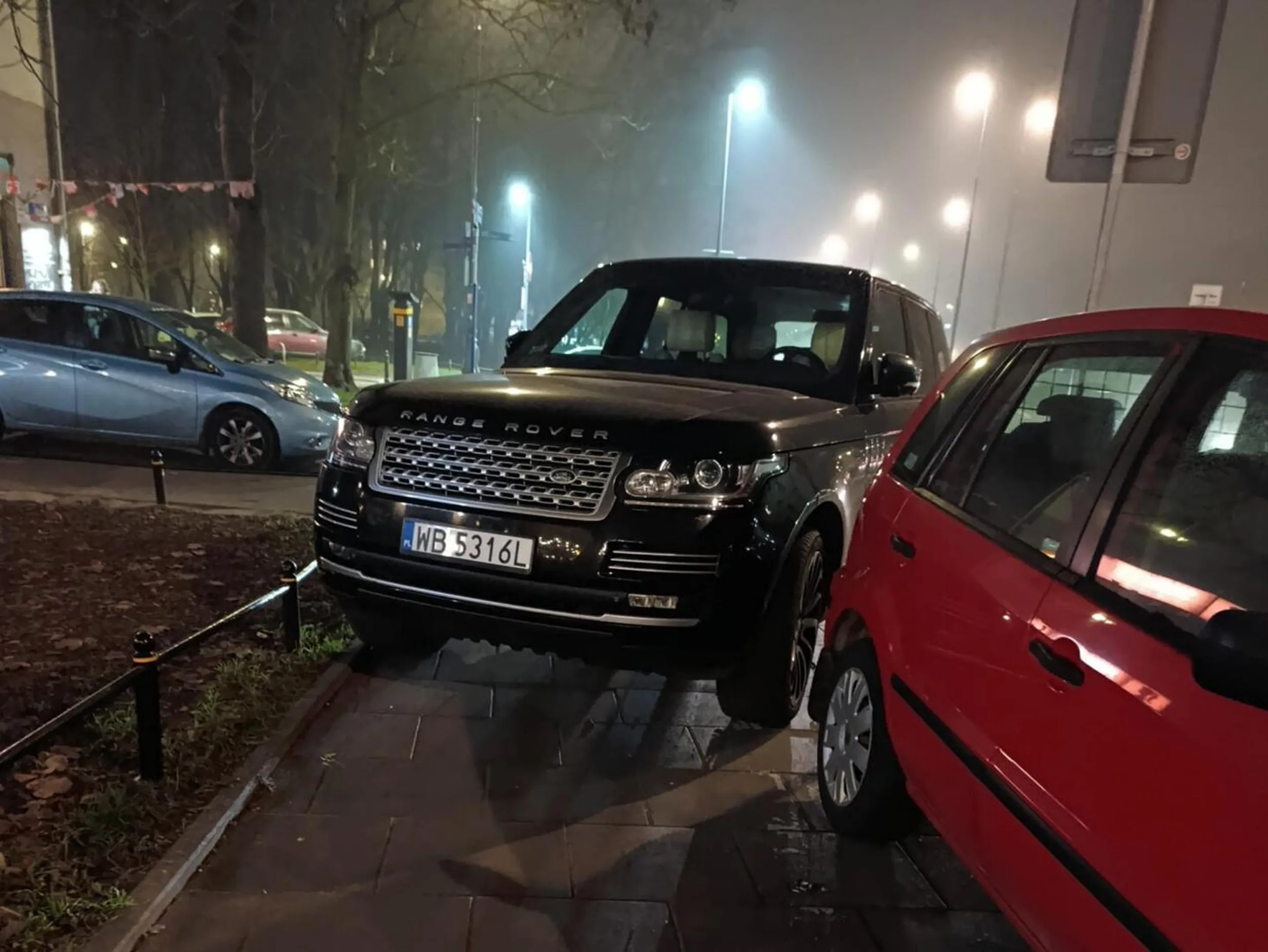 mój pies potrafiłby lepiej zaparkować