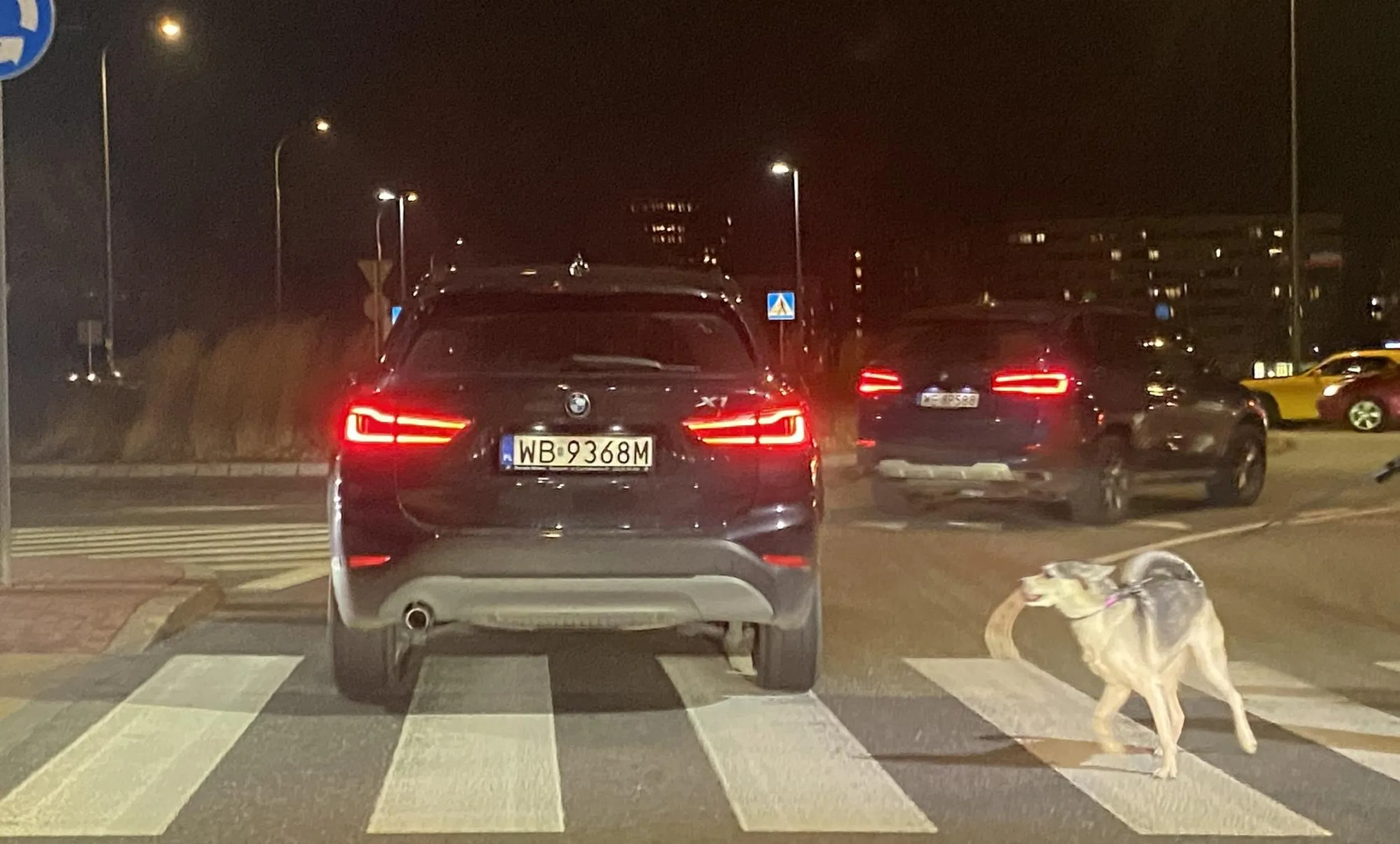 Tak wyglada ten śmieć