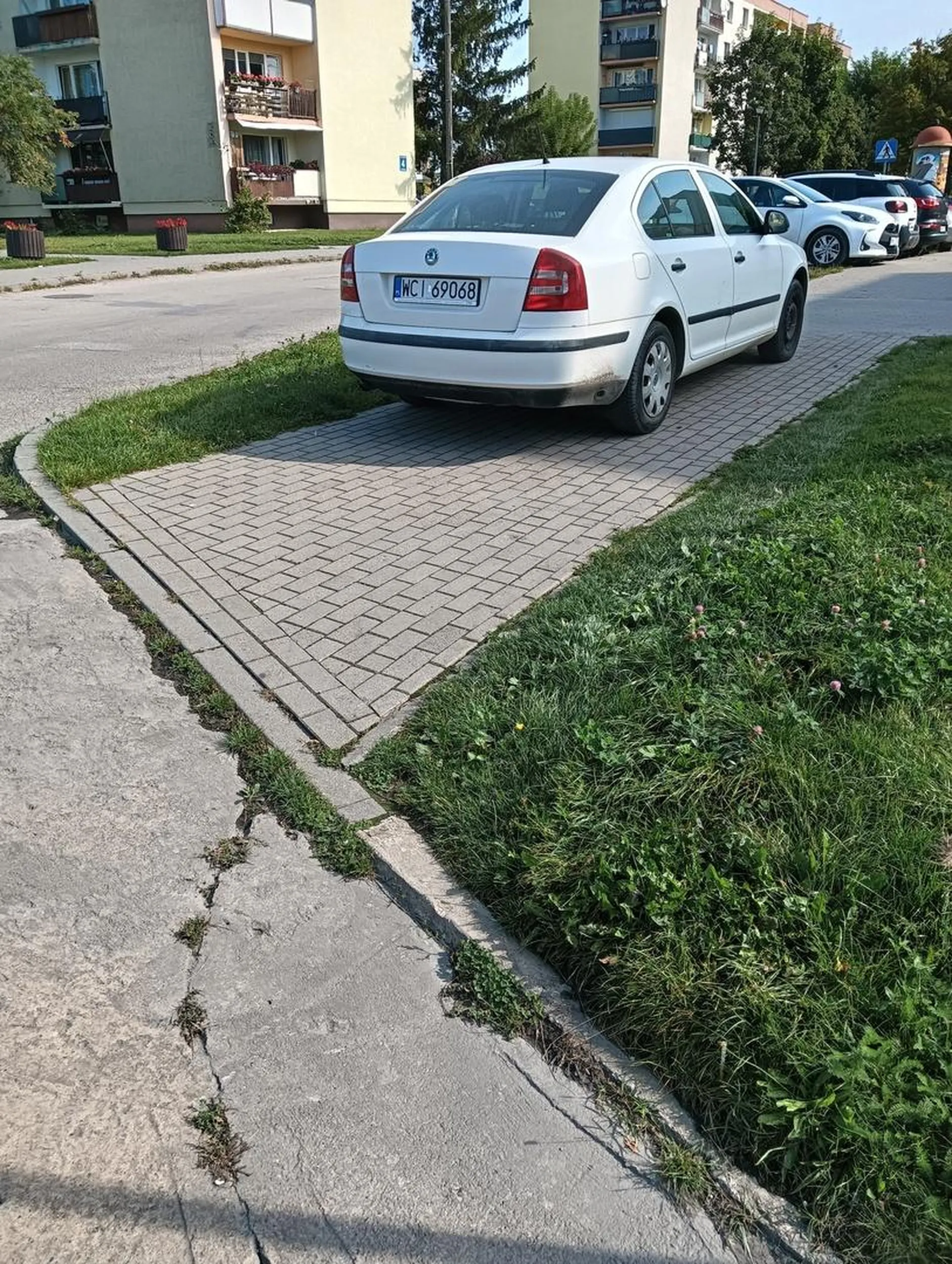 Z cyklu: "moje 4 litery najważniejsze na całym świecie, pozostali niech sobie latają, chodzą po trawie, szukają obejść..."