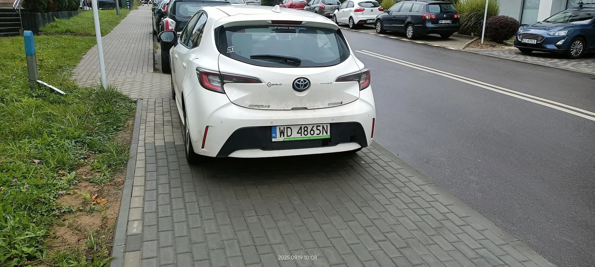 Święta krowa chodnikowa.