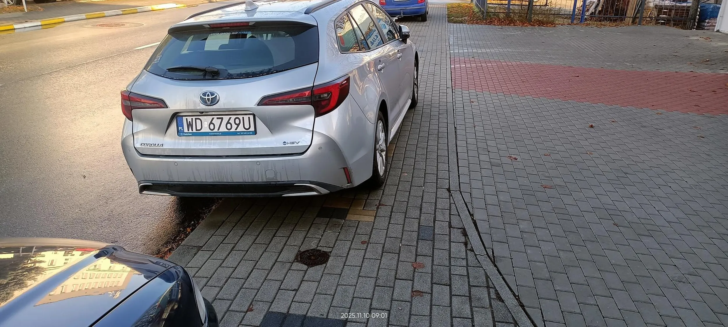 Święta krowa chodnikowa.