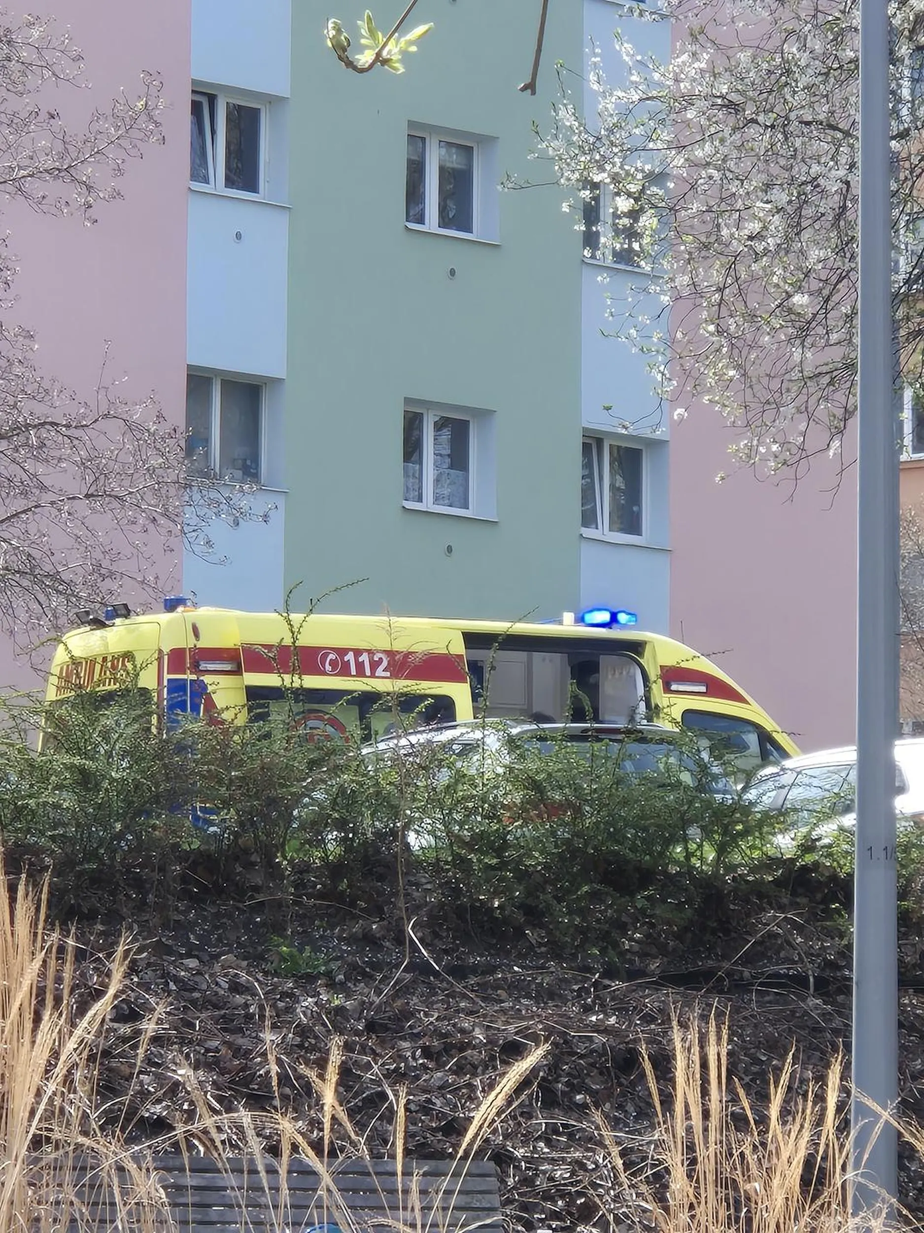 Tragedia kobieta zostawia dziecko same w aucie. Wezwana policja i karetka