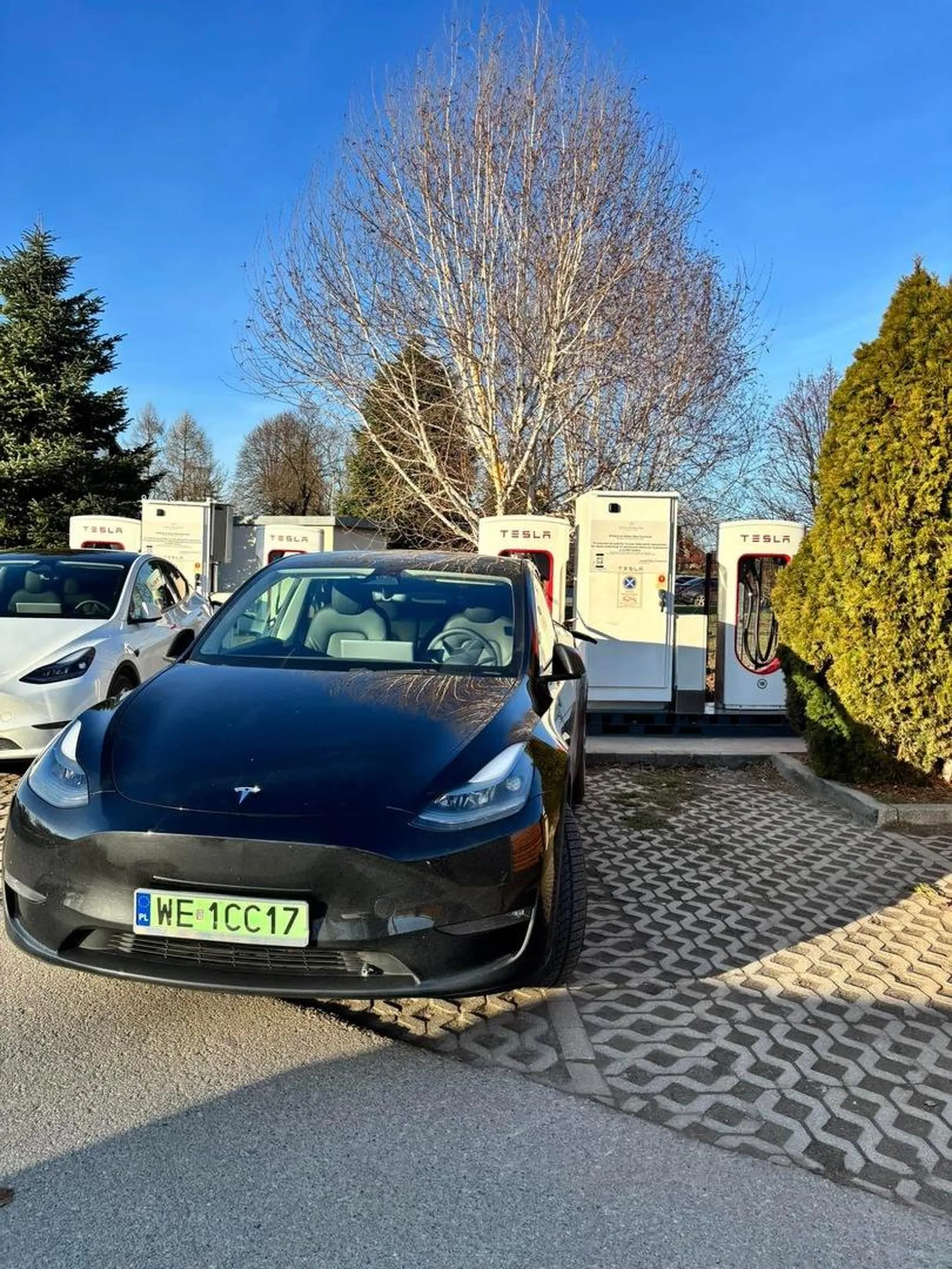 Widać, że mózgu razem z prądem zabrakło.