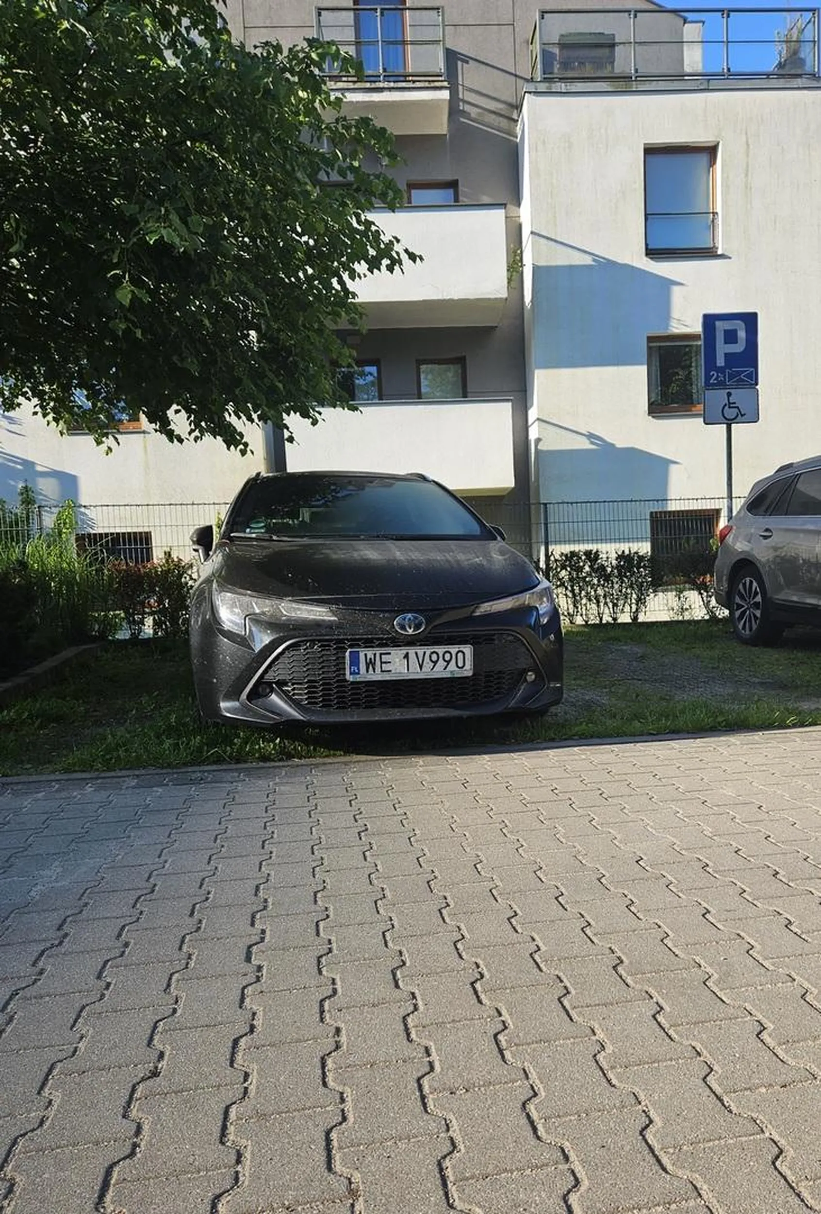 Ciota osiedlowa parkuje na dwóch miejscach