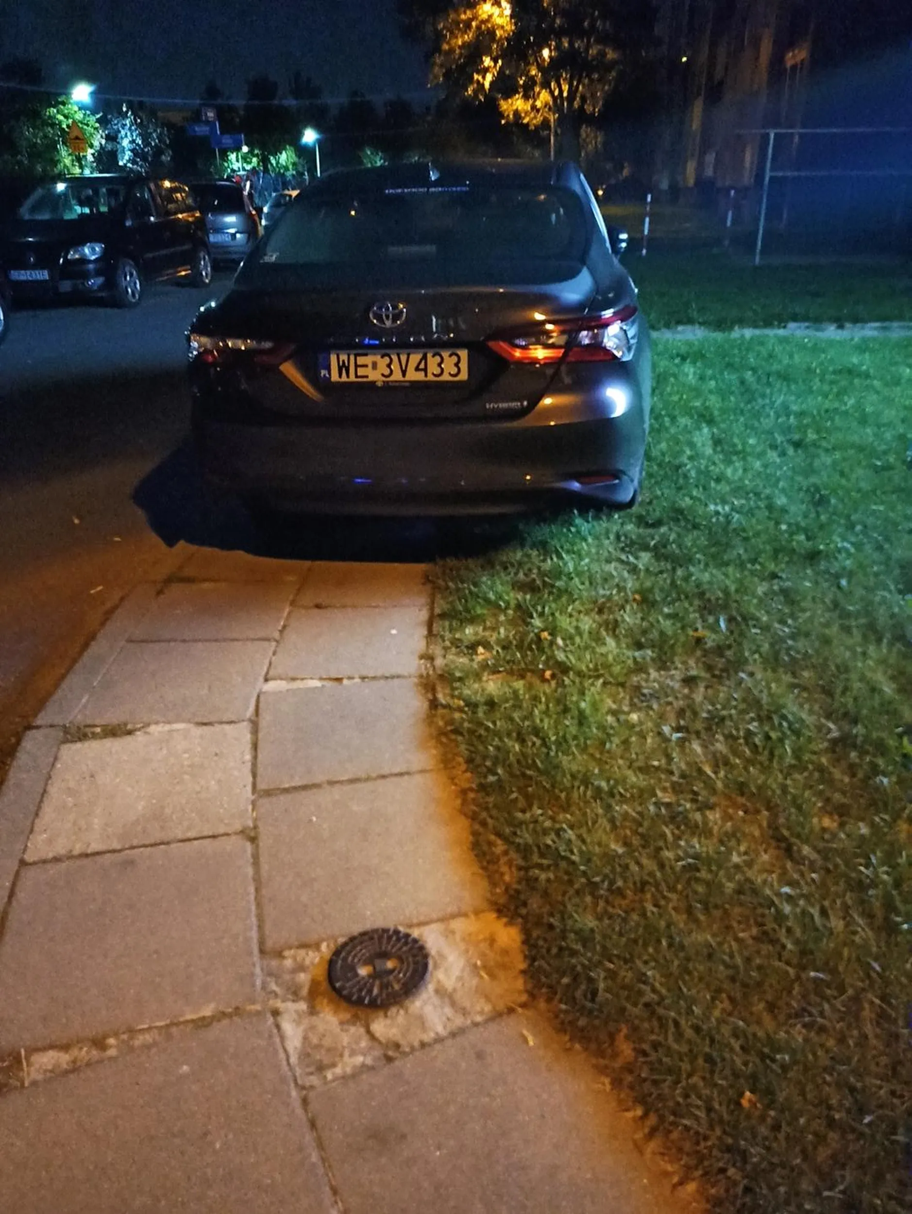 Dewastuje chodnik i trawnik w Piotrkowie Trybunalskim. Jak tym chodnikiem ma przejść osoba niepełnosprawna na wózku? Włącz myślenie!