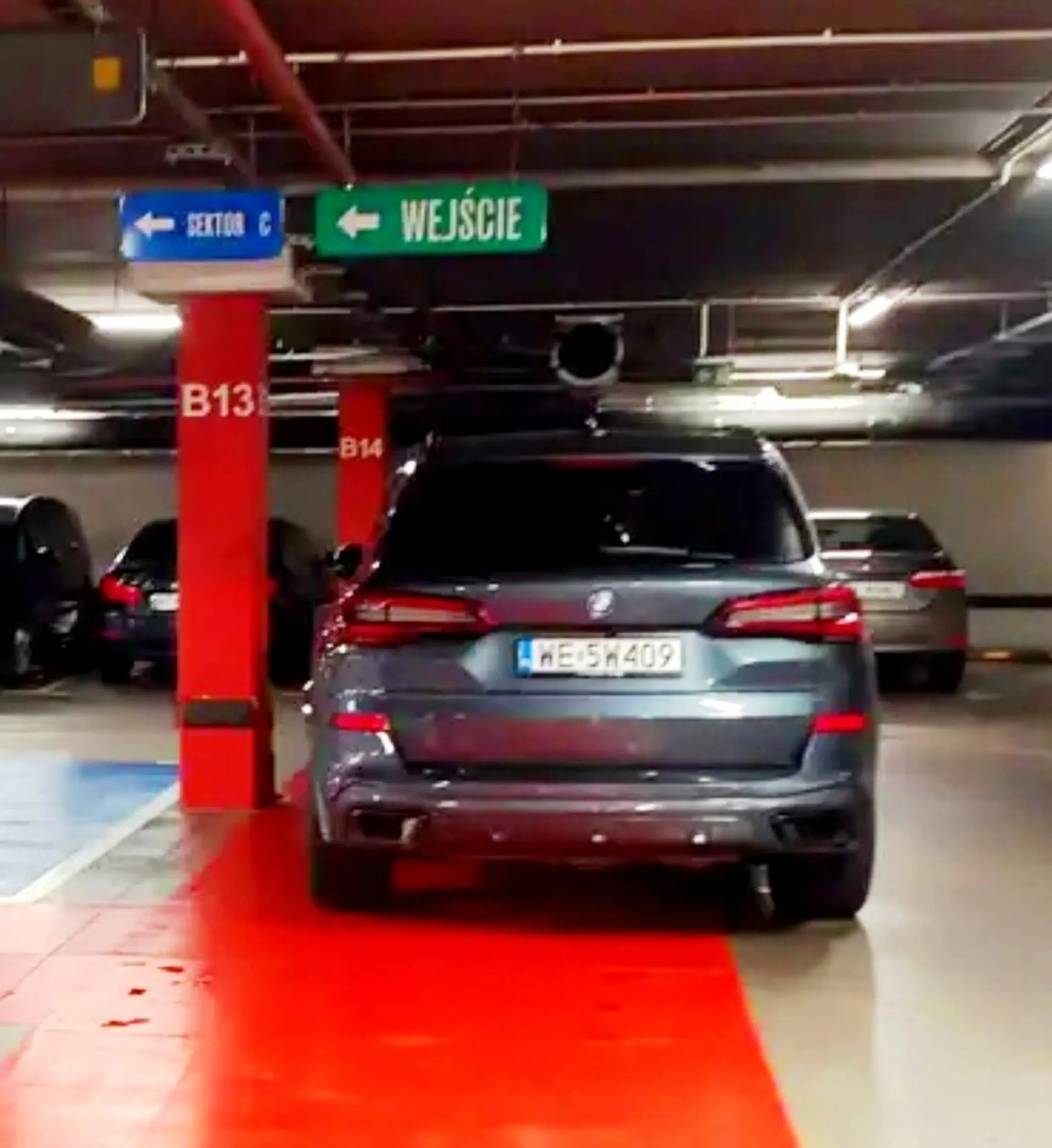 Stołeczny mistrz parkowania! Nawet Jezus o nich mówił: "Po owocach ich poznacie"