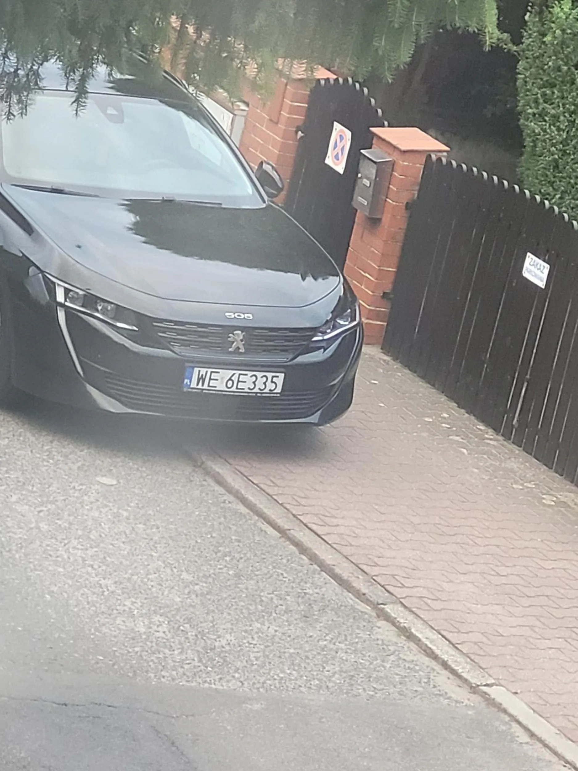 Oto głąb  z Daszyńskiego 7. Szczecin