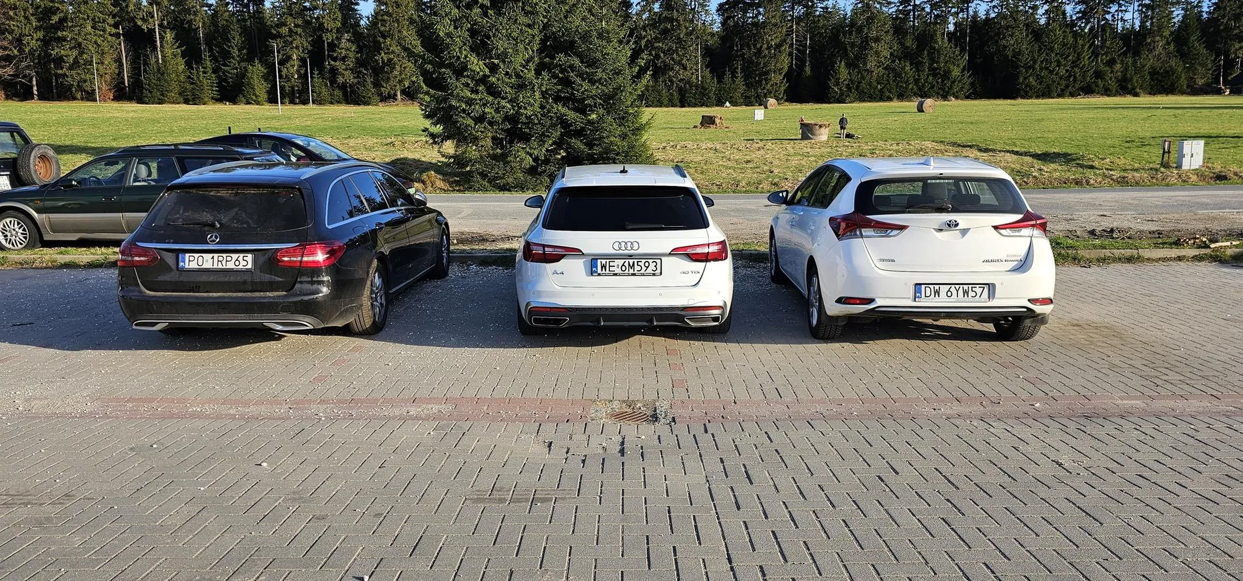 Słoiki przyjechały rodziną w góry i nie potrafią poprawnie parkować. Wstyd