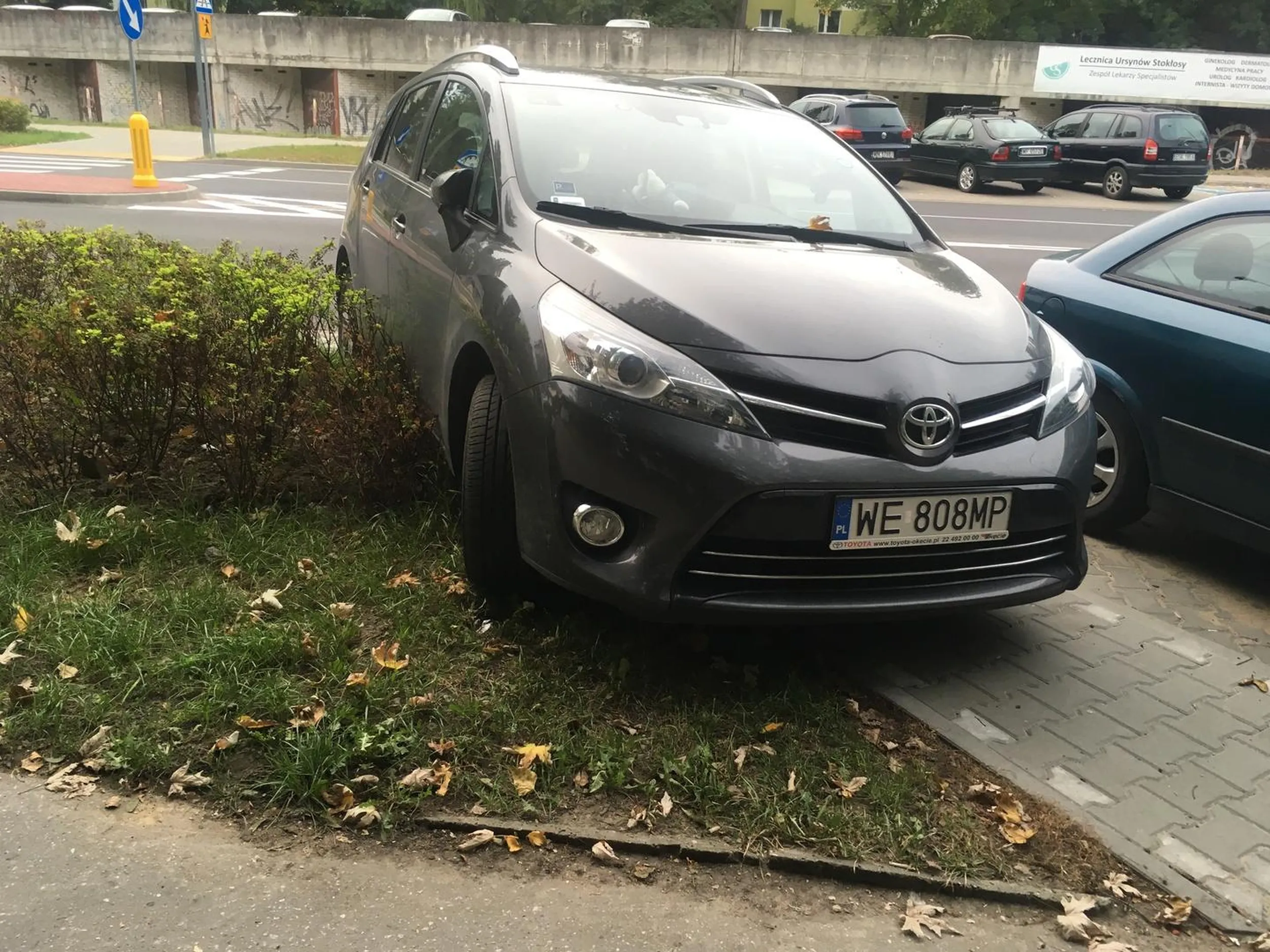 Parkingowy pasożyt gniotący trawę na koszt społeczeństwa.